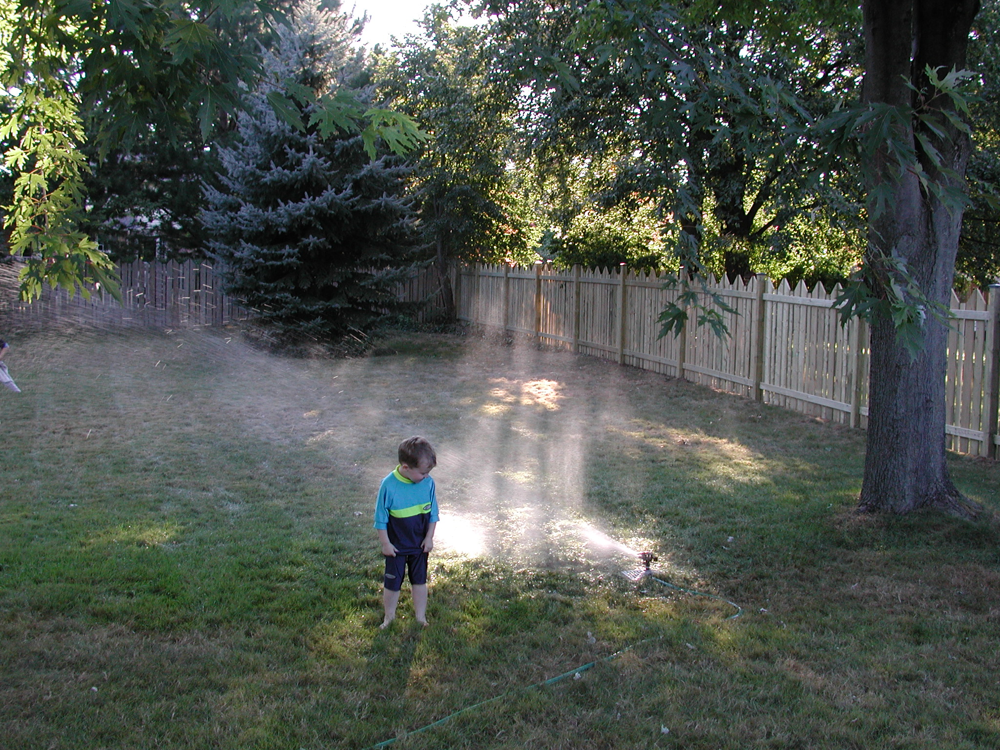 DSCN5175.JPG, 1114694 bytes, 8/31/02