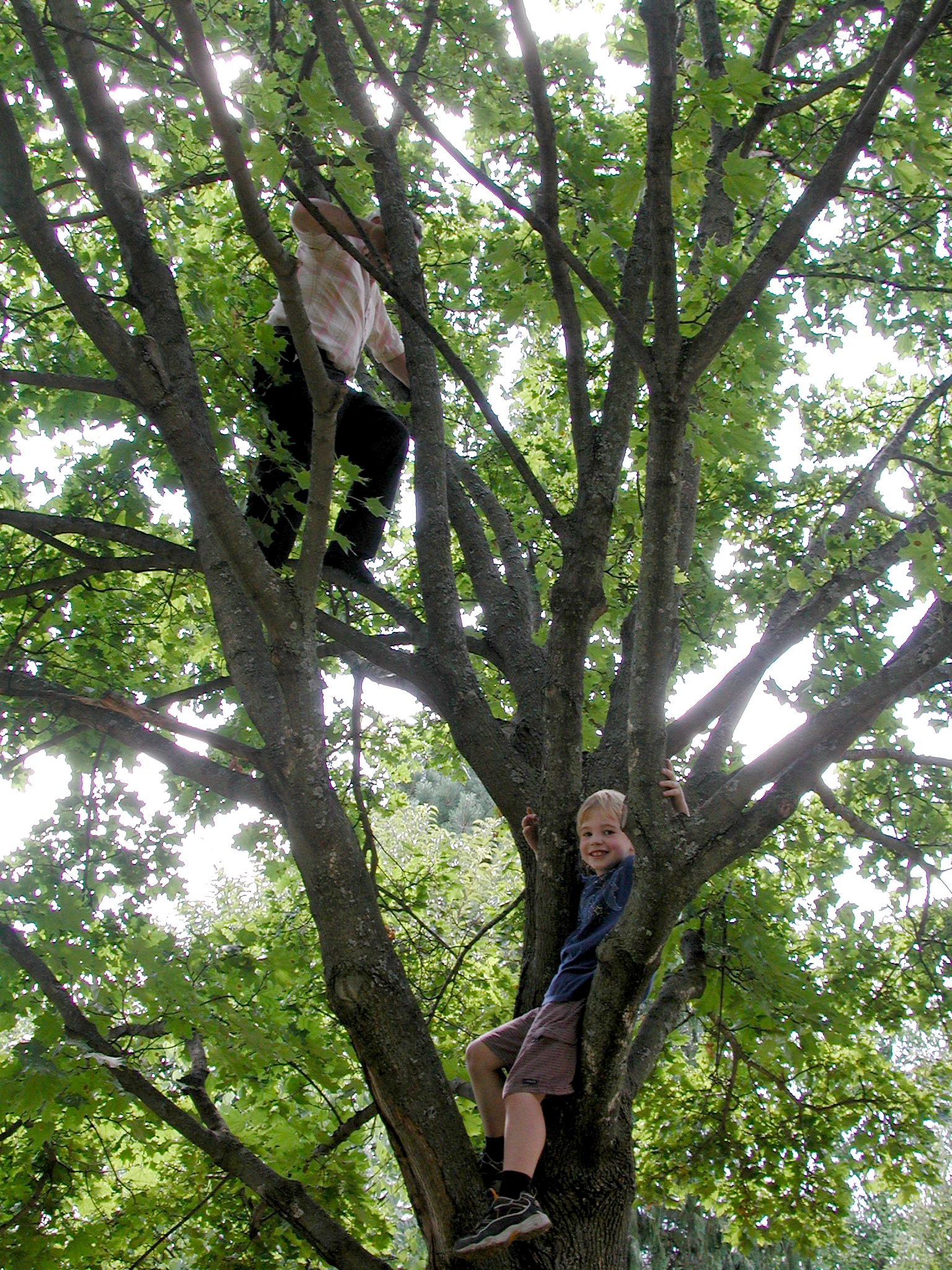 DSCN5191.JPG, 1230249 bytes, 12/27/02