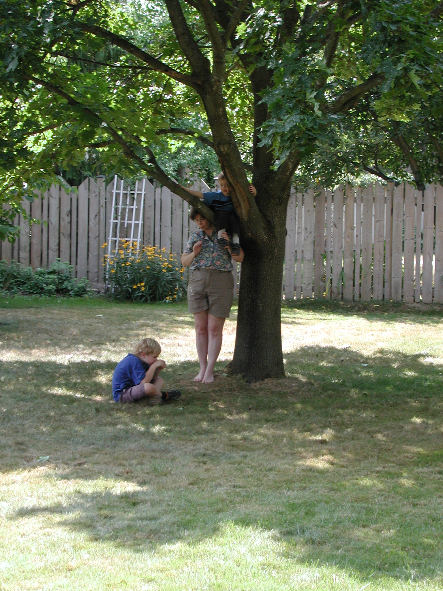 DSCN5212.JPG, 1096349 bytes, 9/01/02