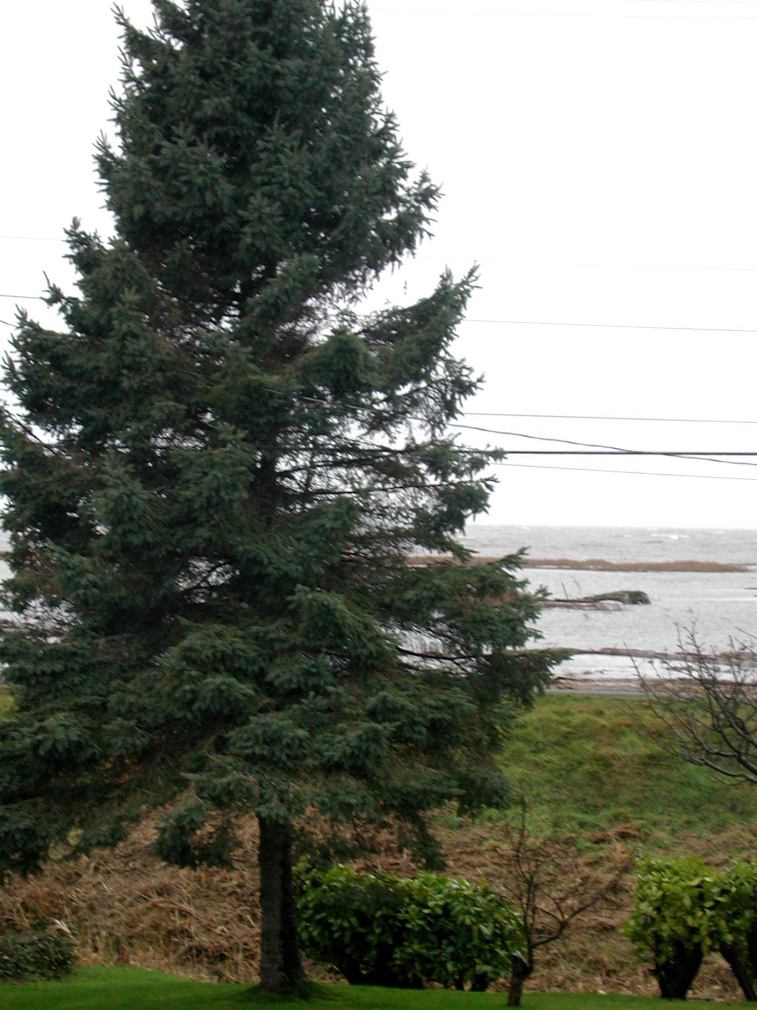 DSCN6090.JPG, 642497 bytes, 12/28/02