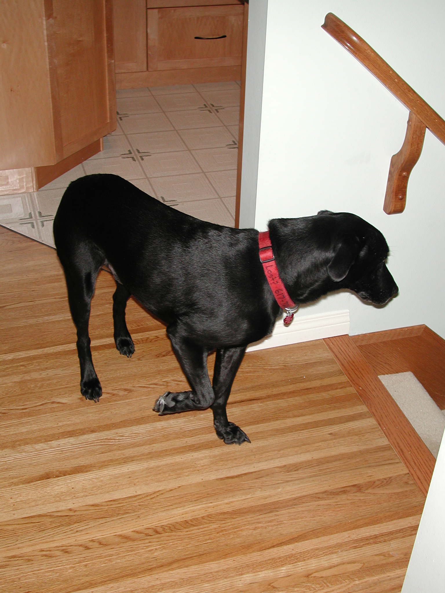 DSCN6091.JPG, 1135500 bytes, 12/27/02