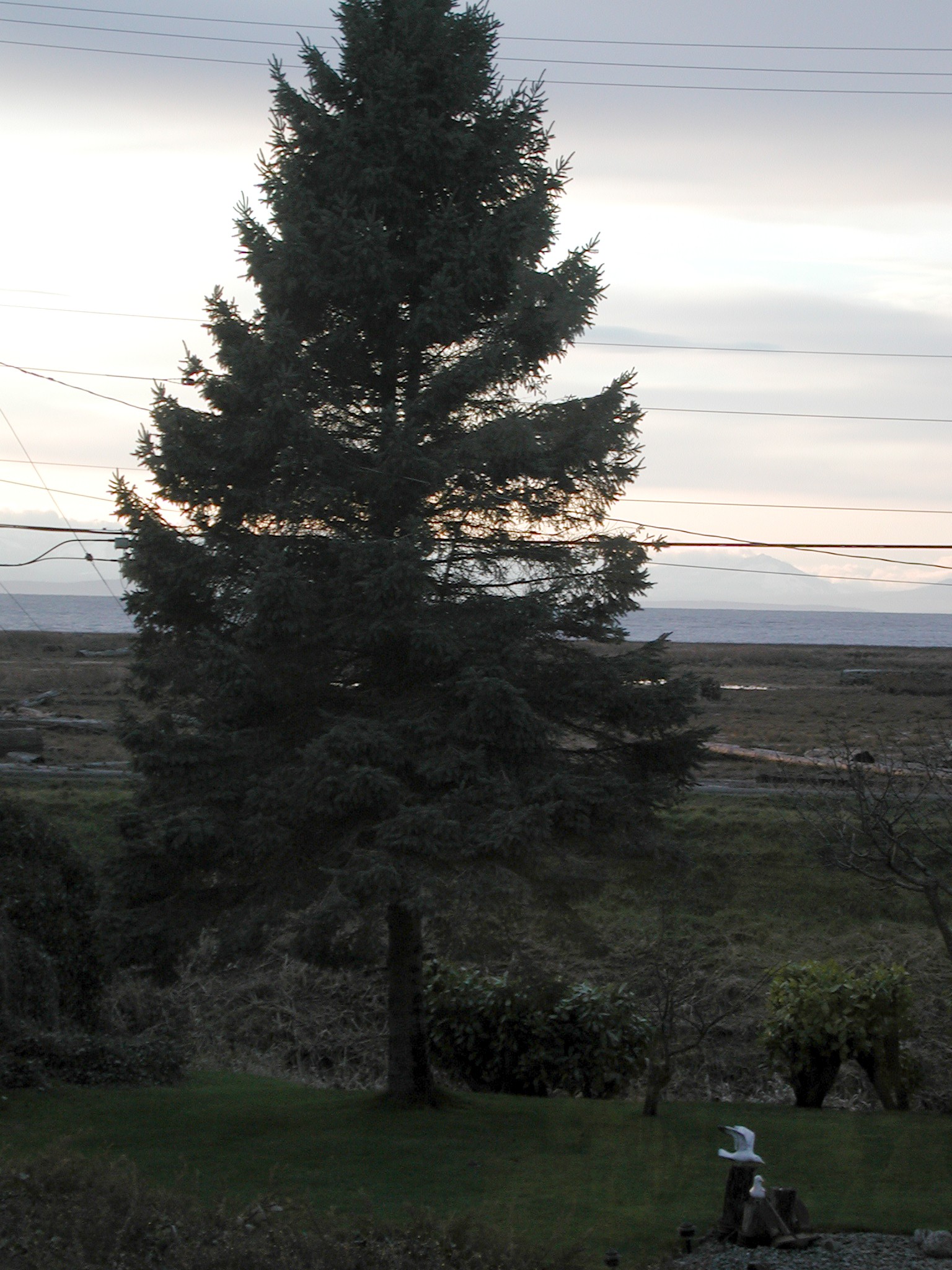 DSCN6094.JPG, 646692 bytes, 12/28/02