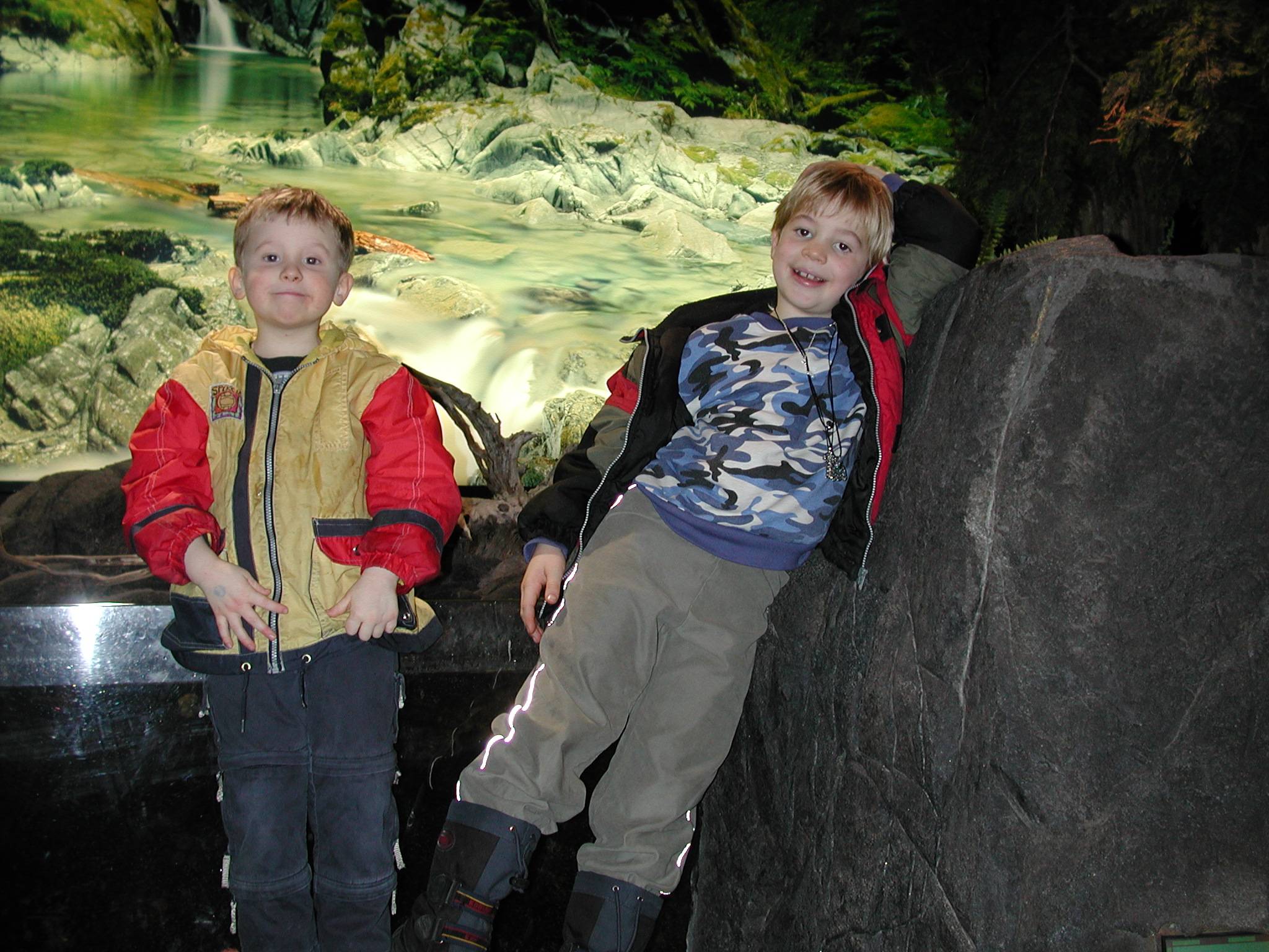 DSCN6129.JPG, 384948 bytes, 1/11/03