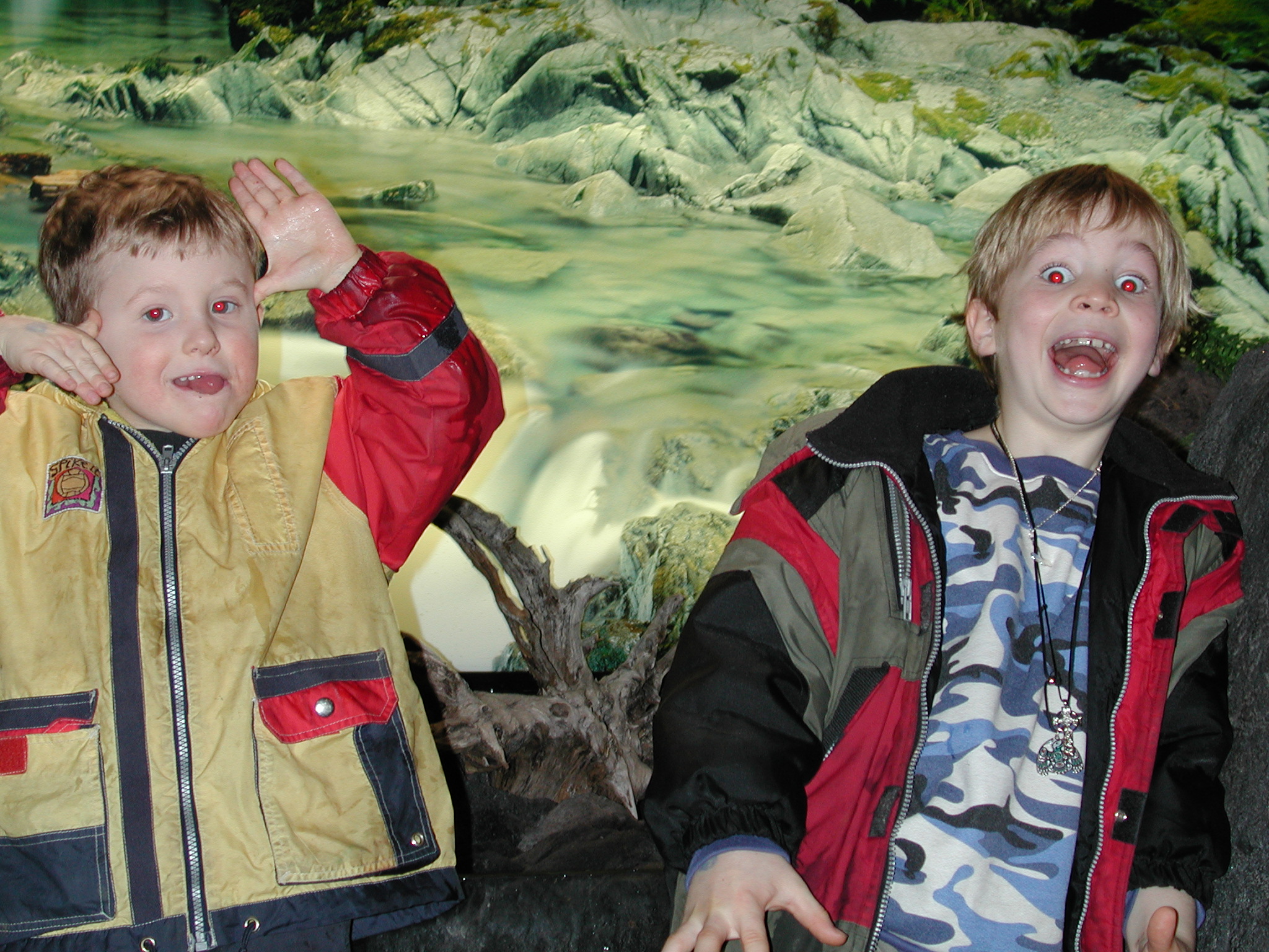 DSCN6130.JPG, 1034277 bytes, 1/03/03