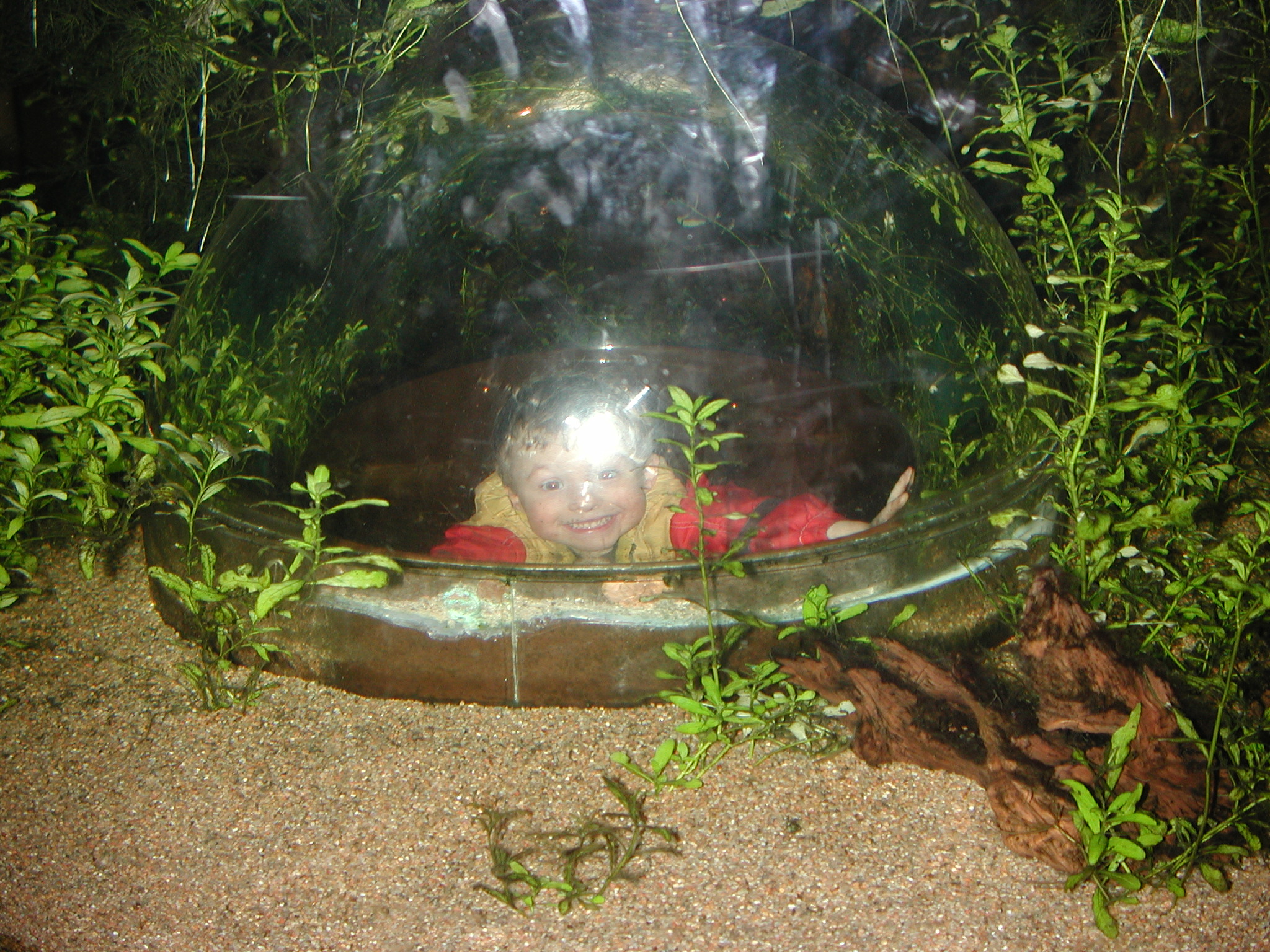 DSCN6131.JPG, 1128766 bytes, 1/03/03