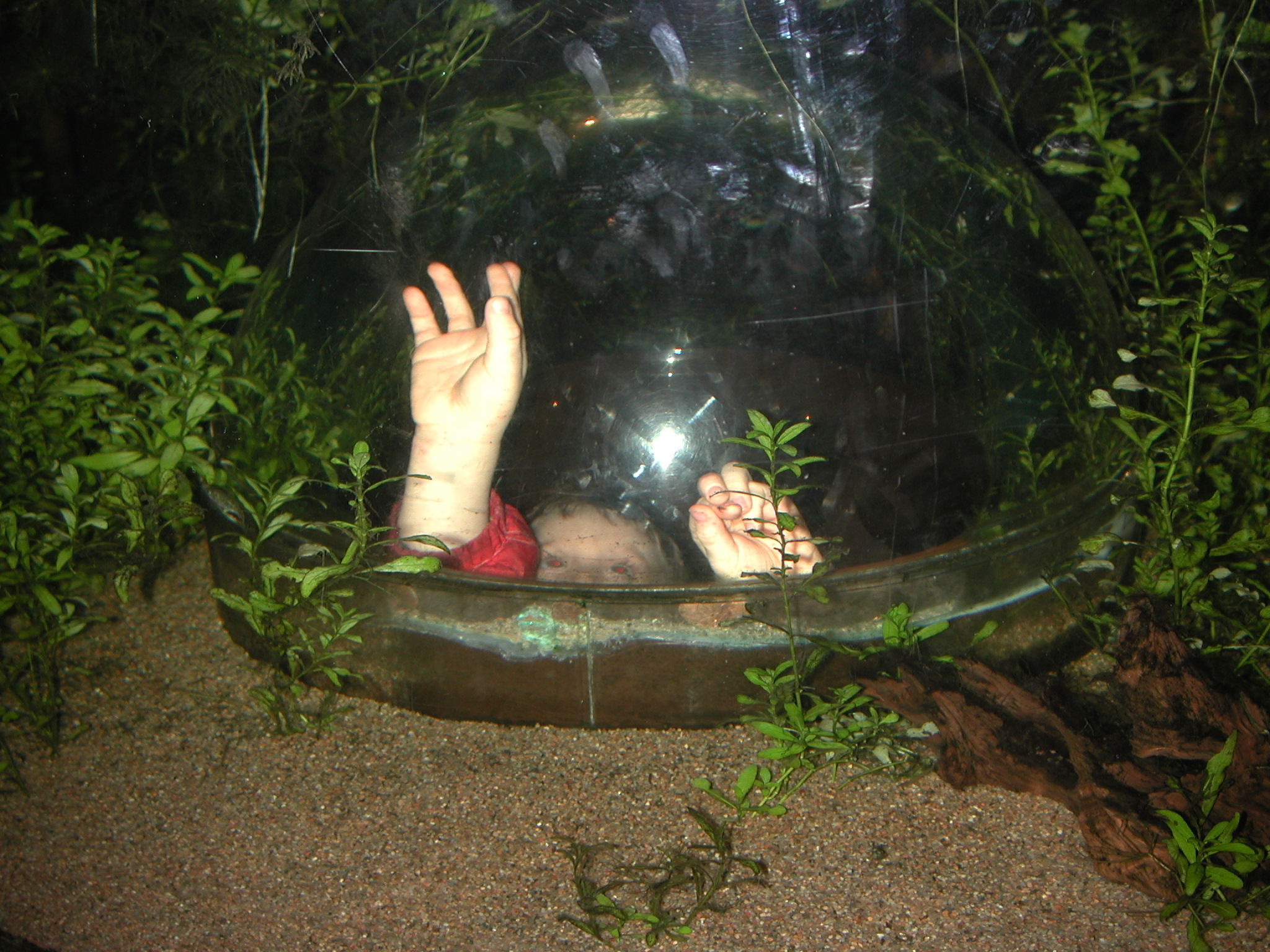 DSCN6132.JPG, 998688 bytes, 1/03/03