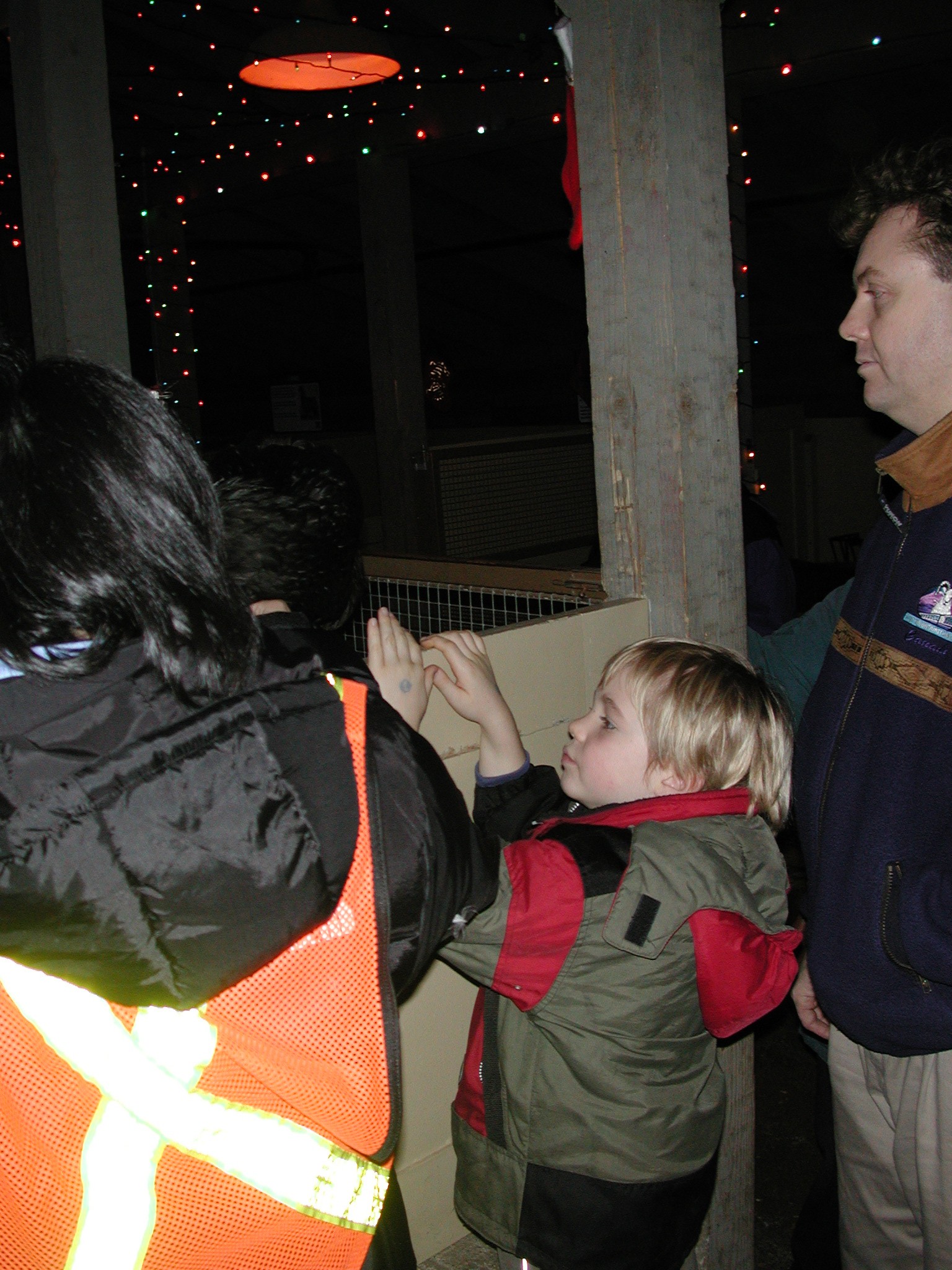 DSCN6134.JPG, 685580 bytes, 1/11/03