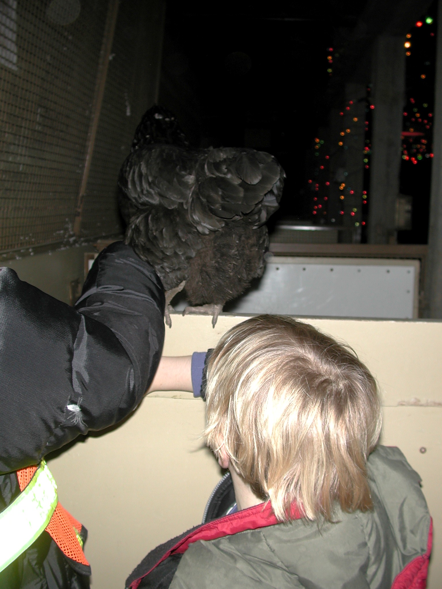 DSCN6135.JPG, 567648 bytes, 1/11/03