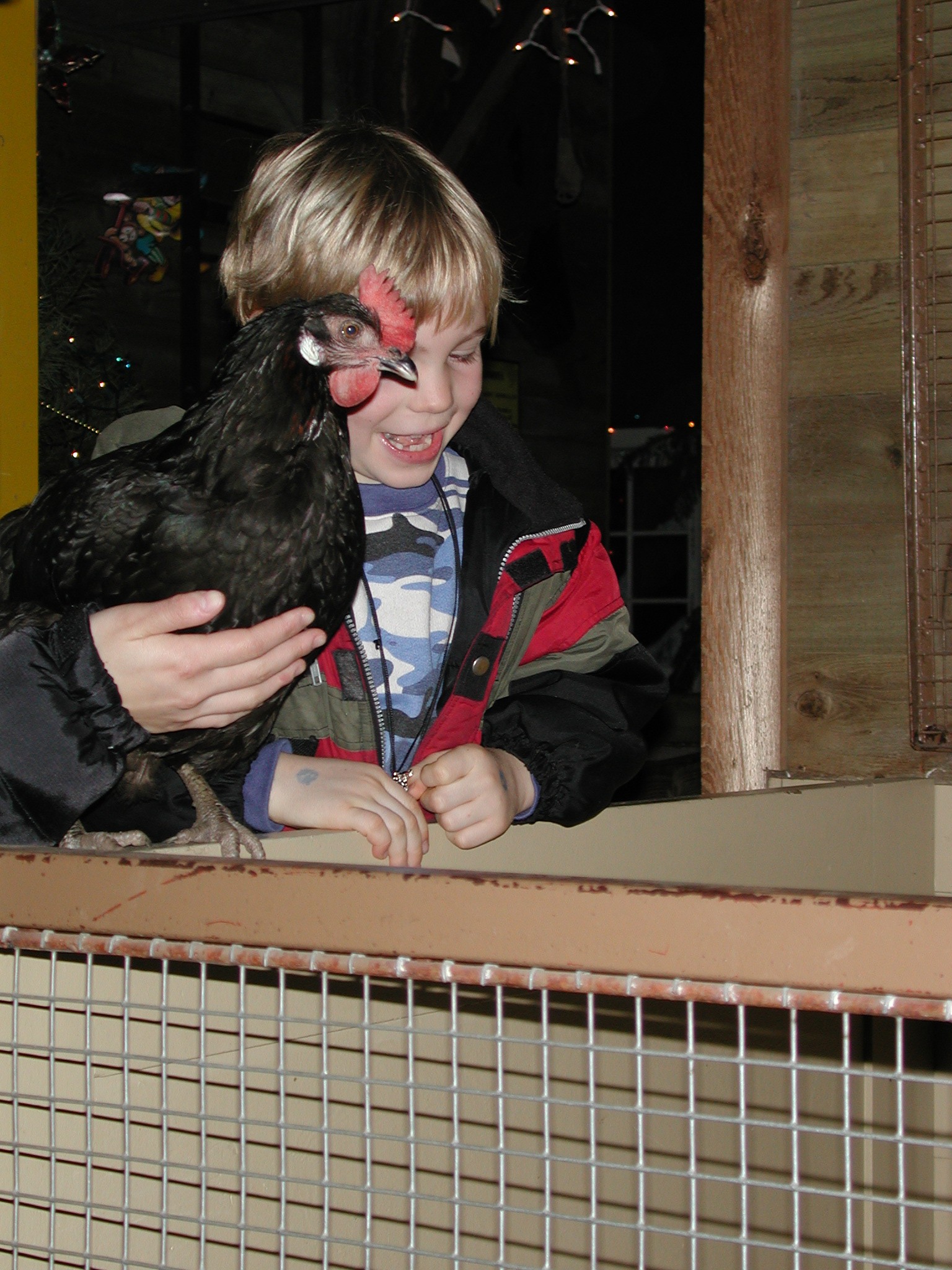 DSCN6140.JPG, 674393 bytes, 1/11/03