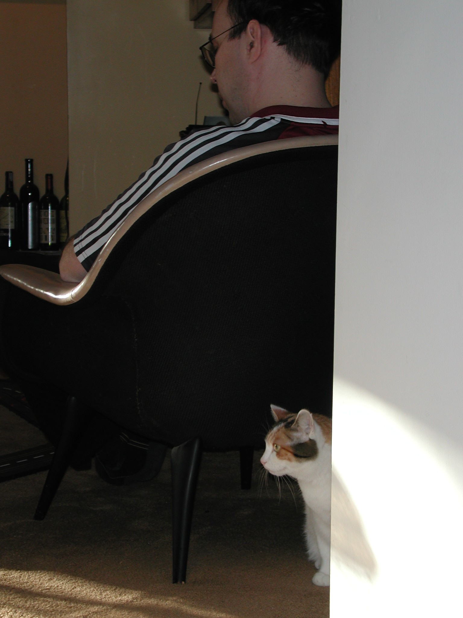 DSCN6161.JPG, 420561 bytes, 1/11/03