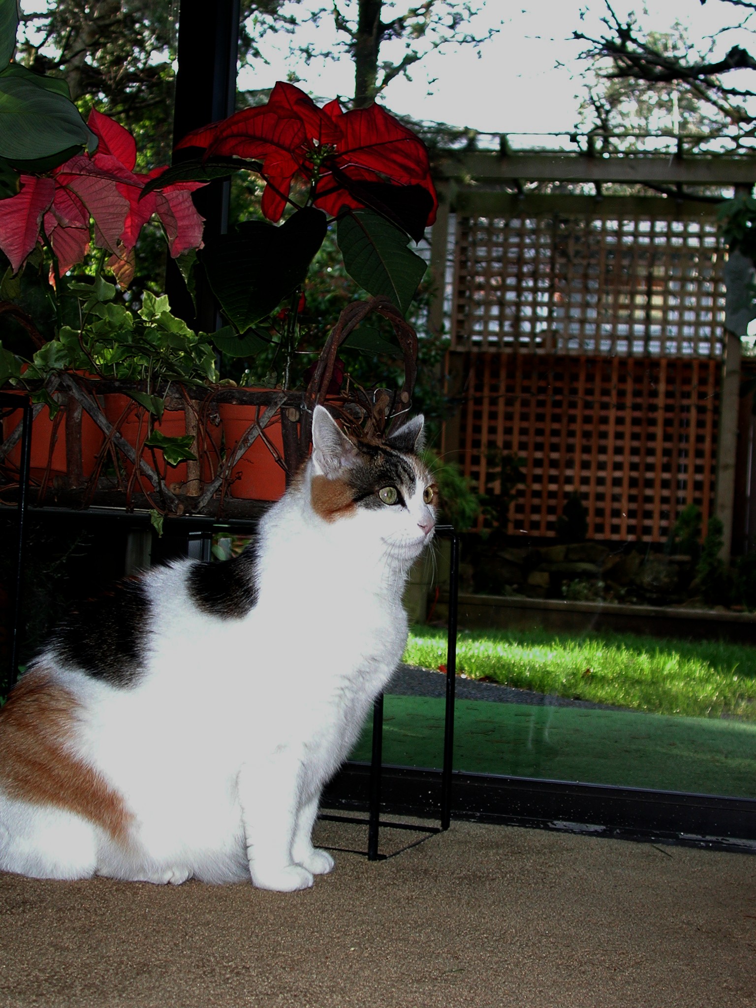 DSCN6169.JPG, 733748 bytes, 1/11/03