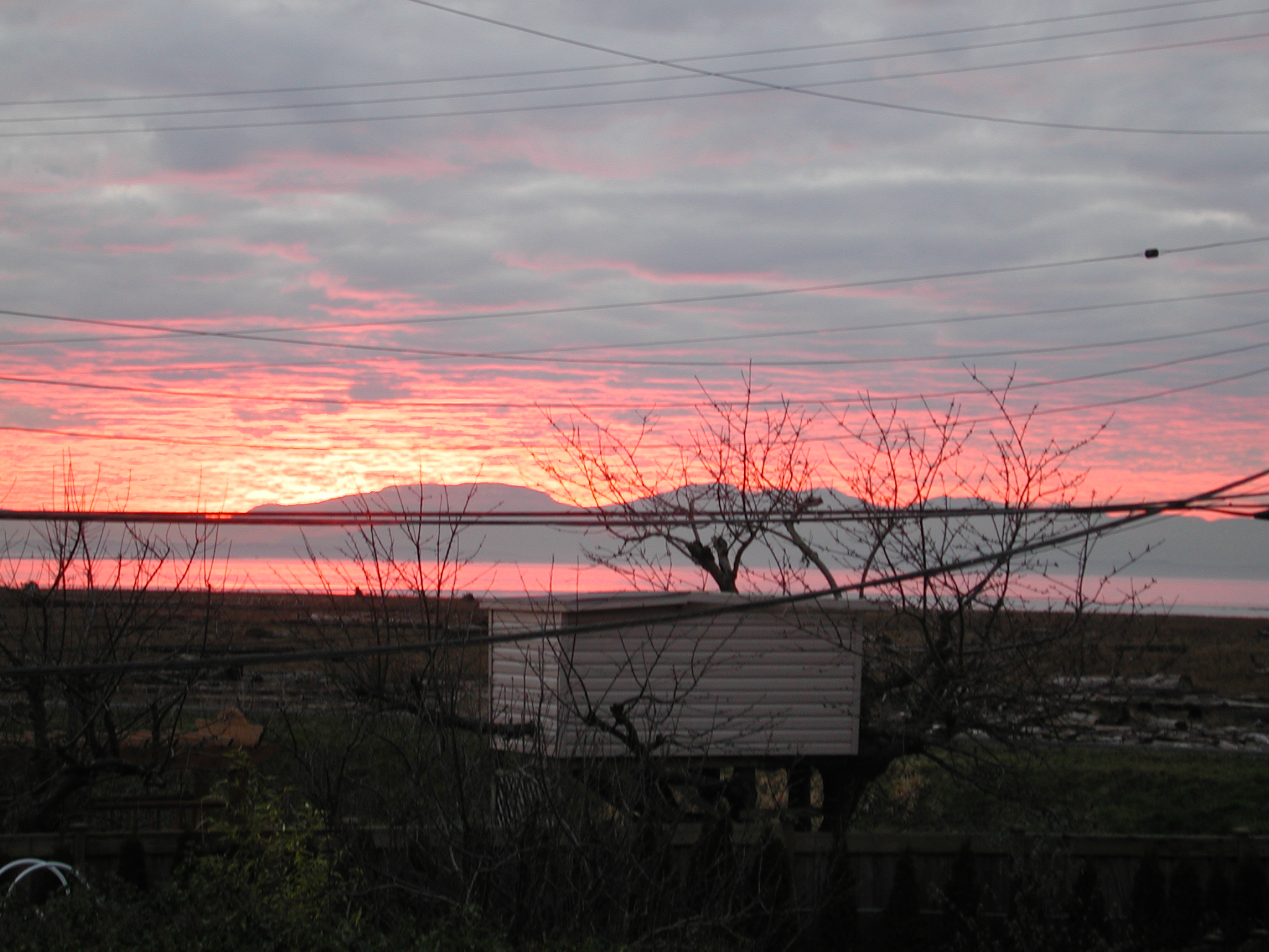 DSCN6181.JPG, 1126504 bytes, 1/07/03