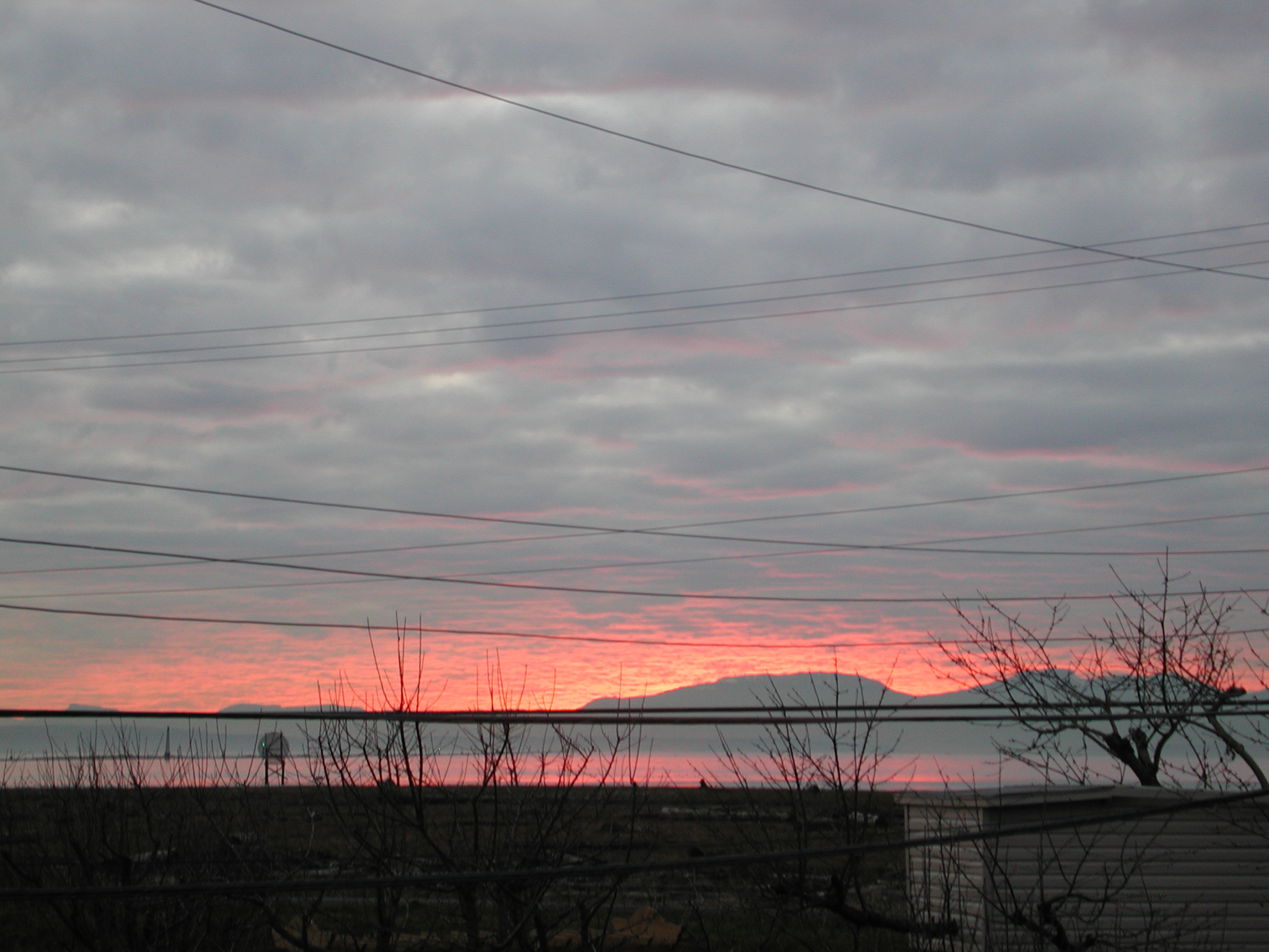 DSCN6183.JPG, 1069975 bytes, 1/07/03