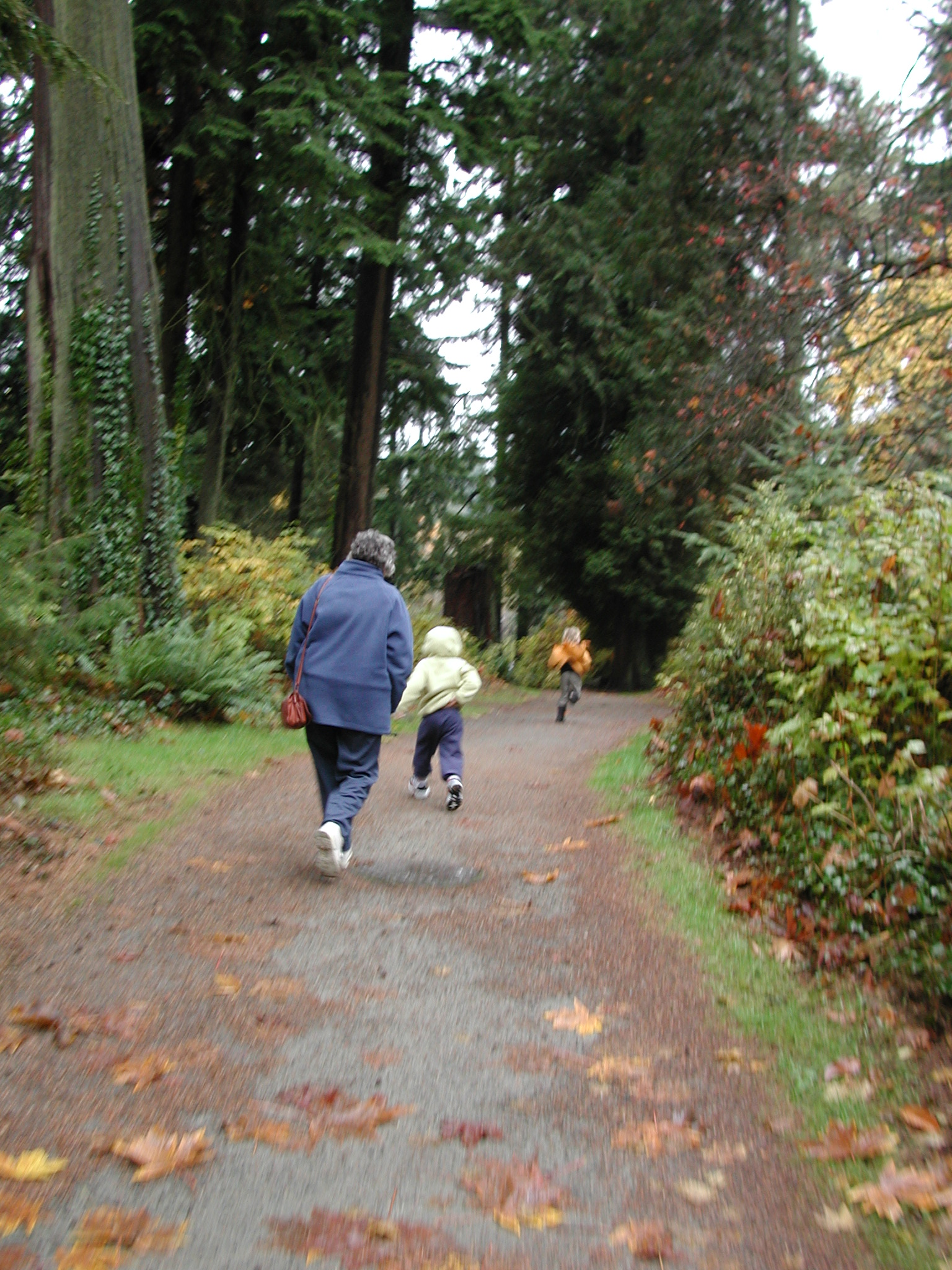 DSCN5554.JPG, 1065267 bytes, 11/11/02