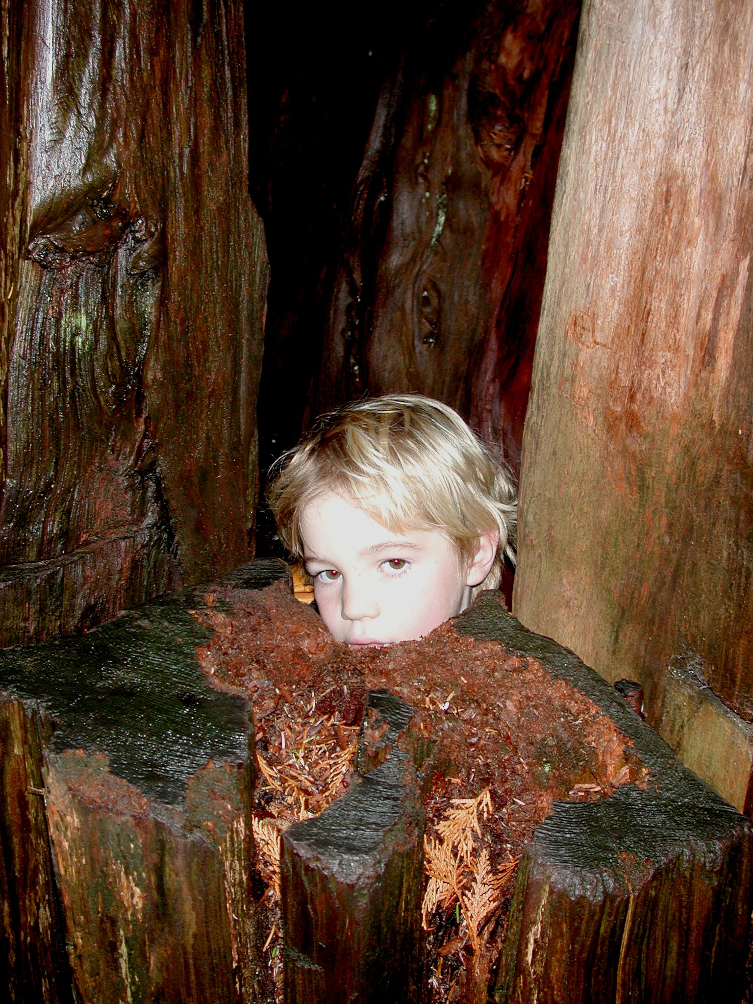 DSCN5559.JPG, 1019887 bytes, 12/27/02