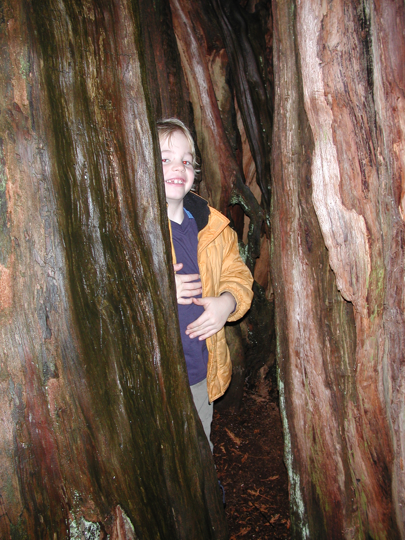 DSCN5560.JPG, 1100781 bytes, 11/11/02