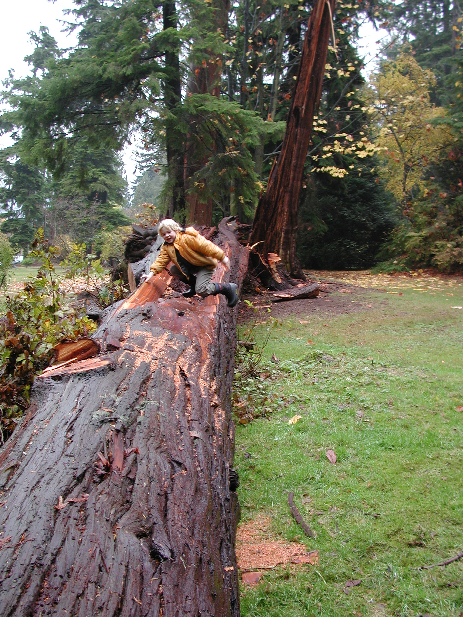 DSCN5562.JPG, 1156671 bytes, 11/11/02