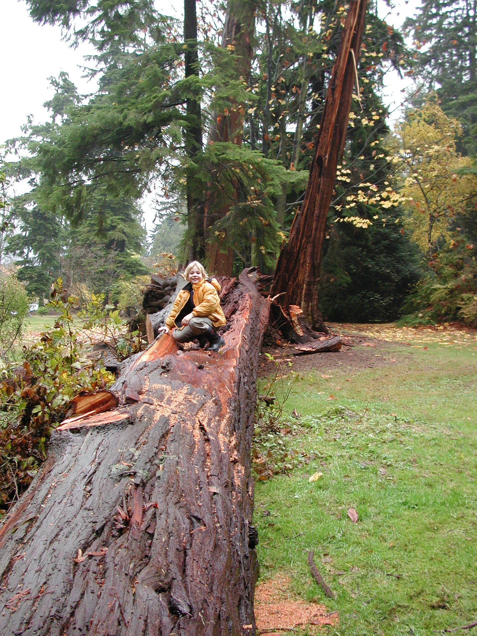 DSCN5563.JPG, 1179419 bytes, 11/11/02