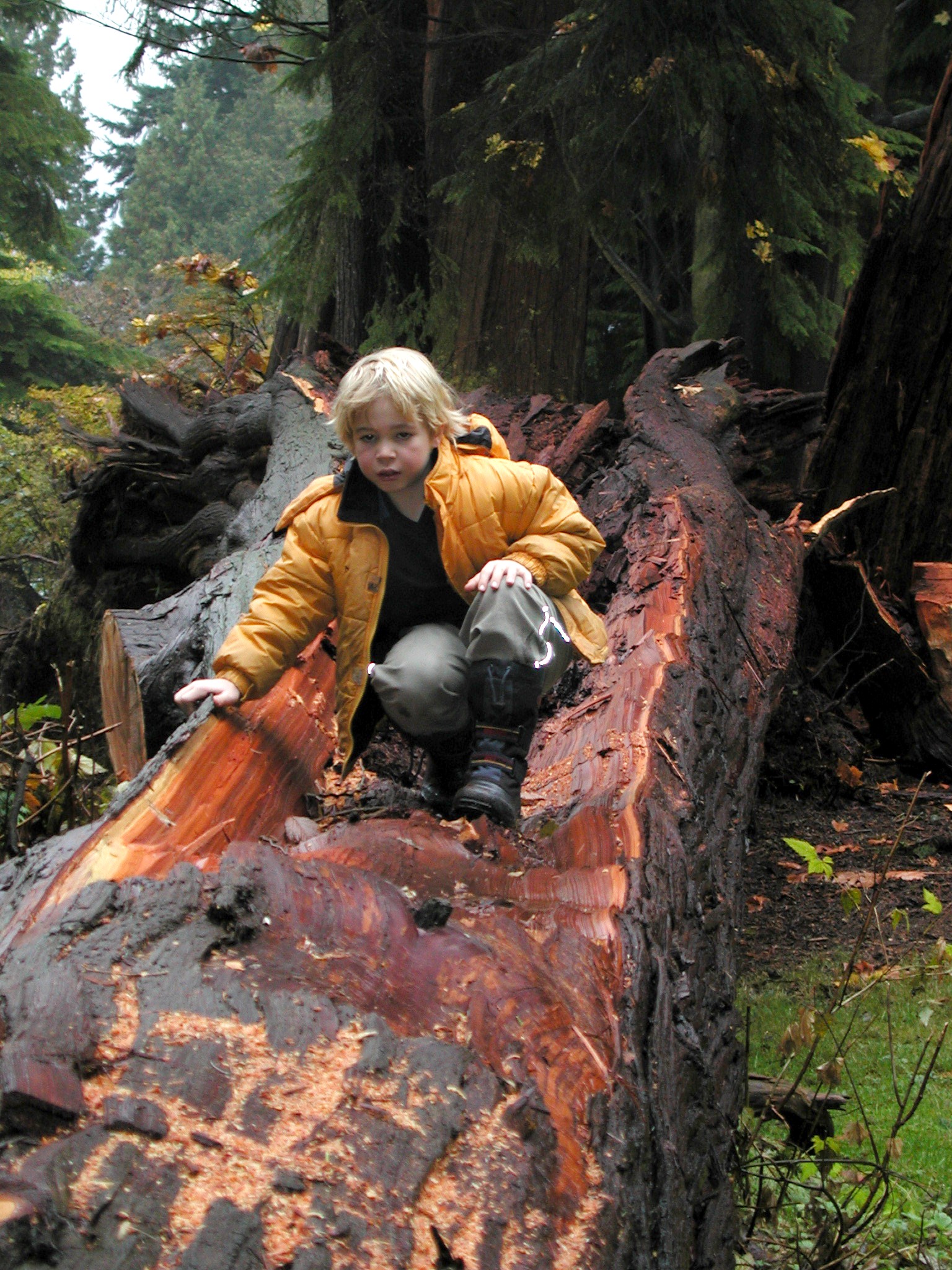 DSCN5564.JPG, 899572 bytes, 12/27/02