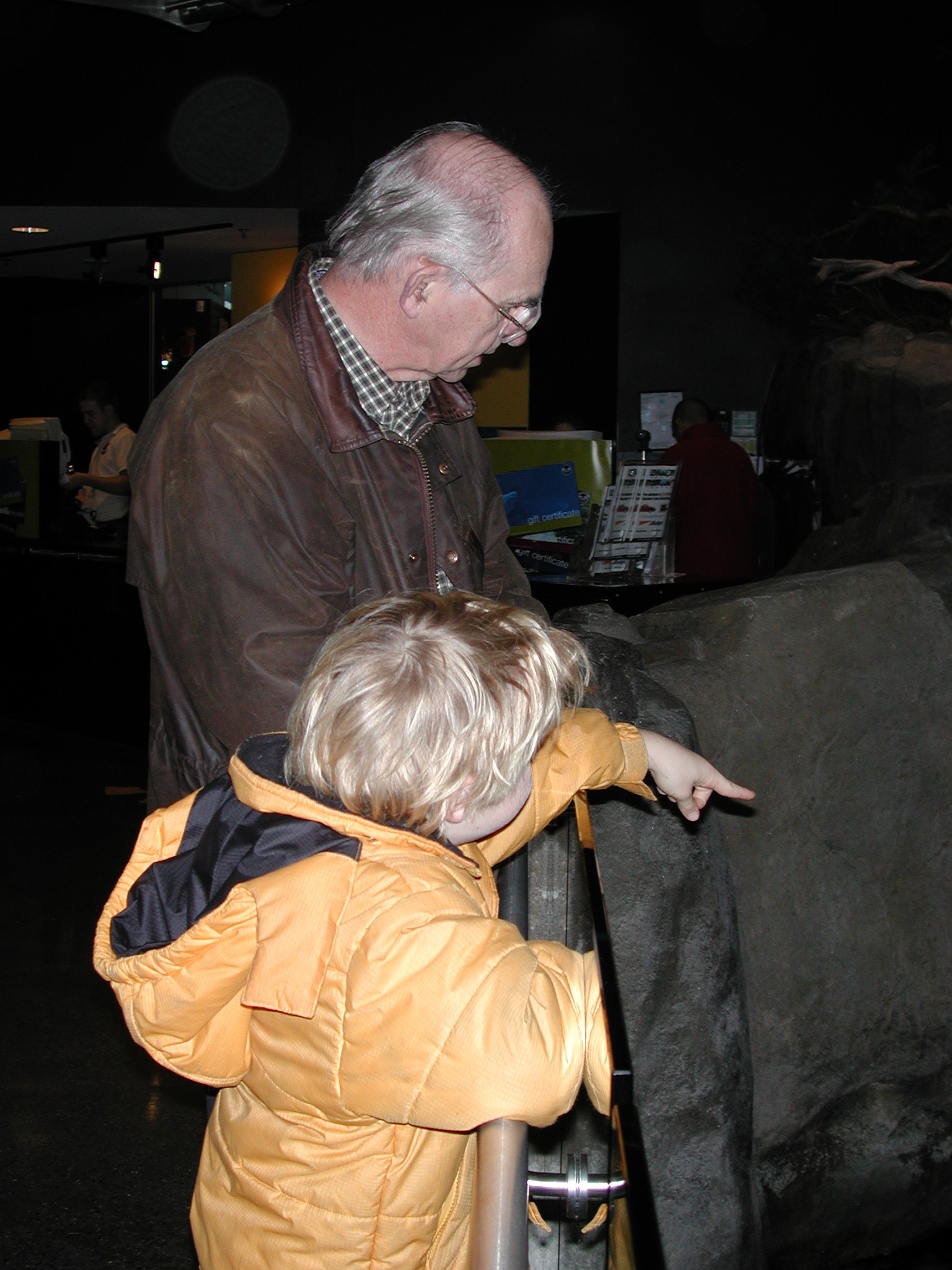 DSCN5586.JPG, 585661 bytes, 12/27/02