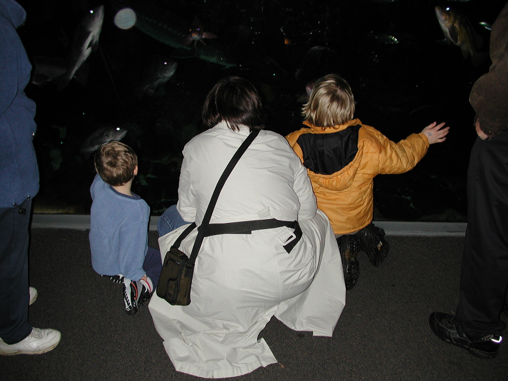 DSCN5587.JPG, 922091 bytes, 11/11/02