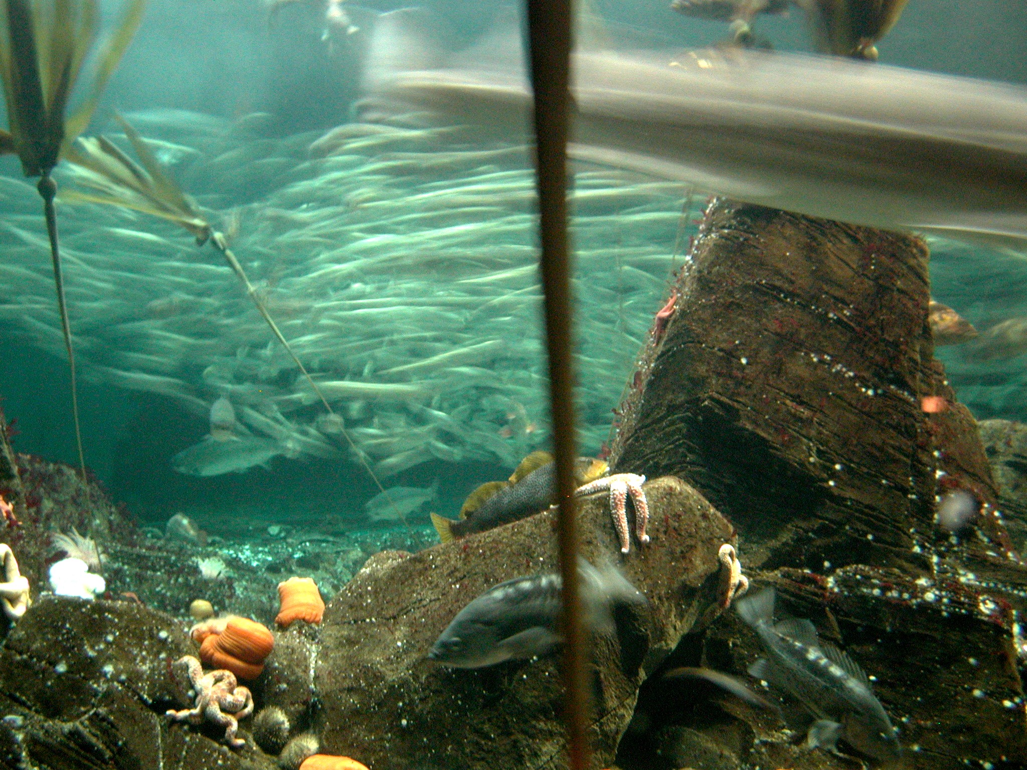 DSCN5589.JPG, 1011769 bytes, 12/27/02