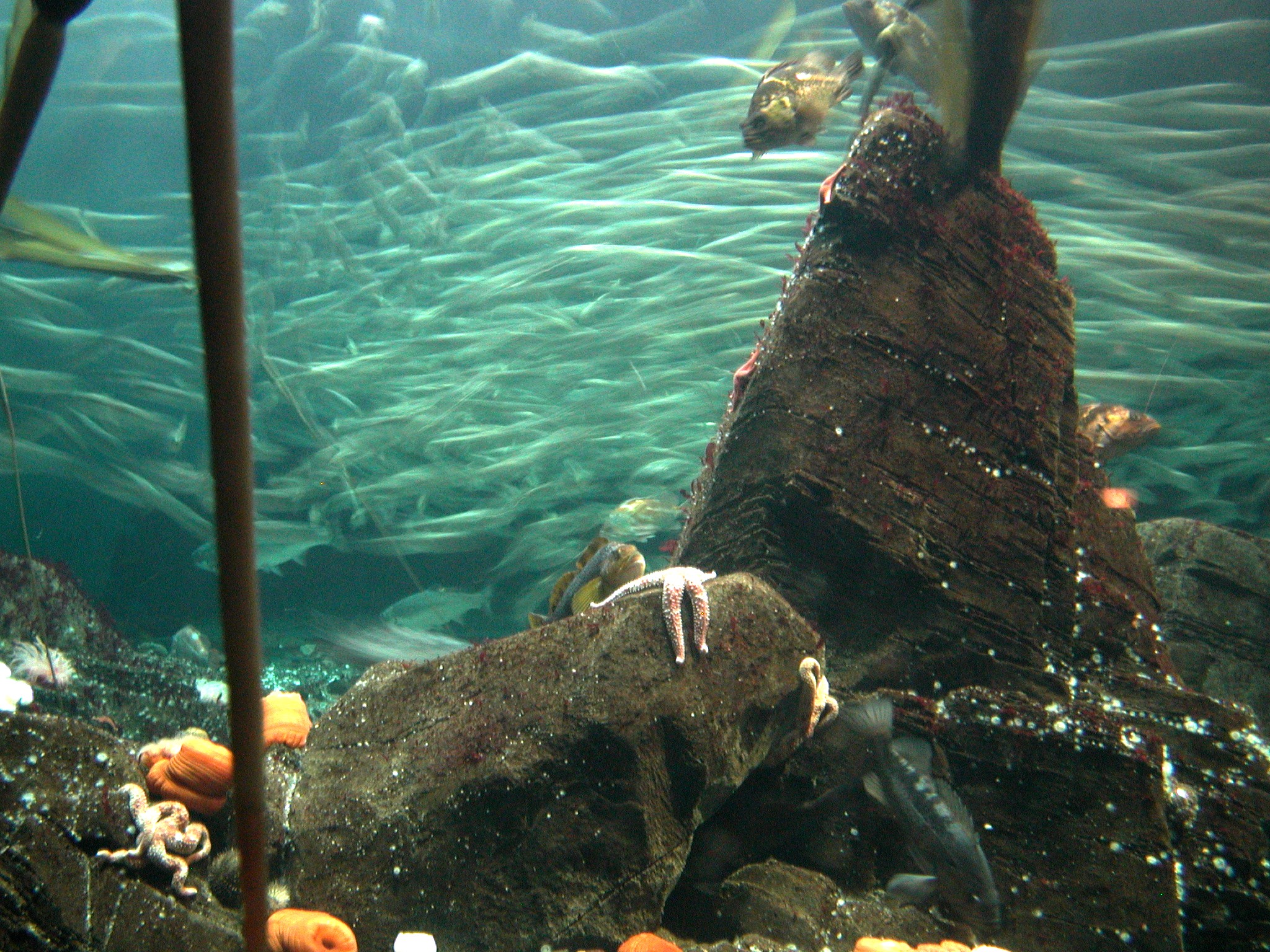 DSCN5590.JPG, 1011401 bytes, 12/27/02