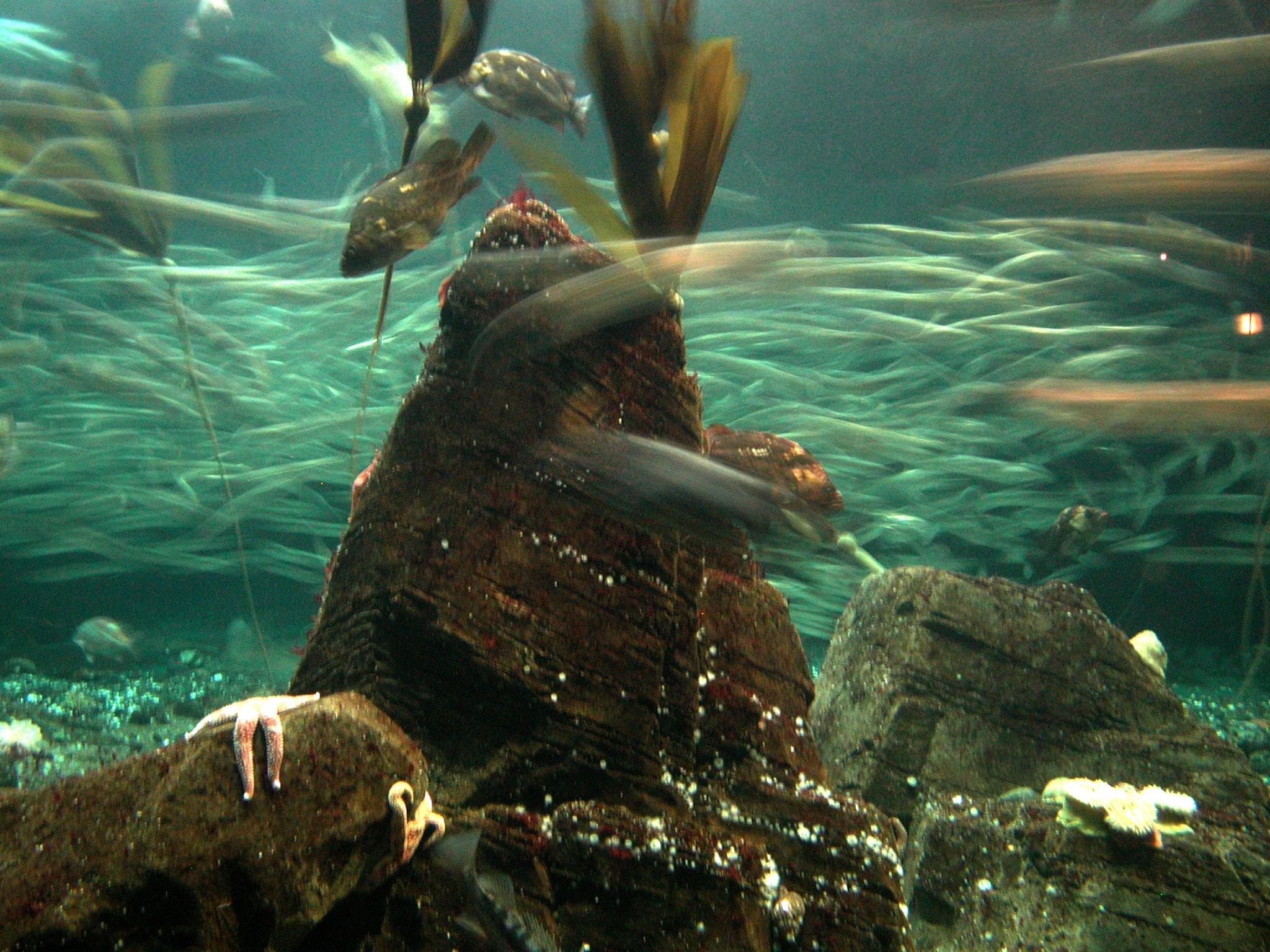 DSCN5591.JPG, 1002106 bytes, 12/27/02