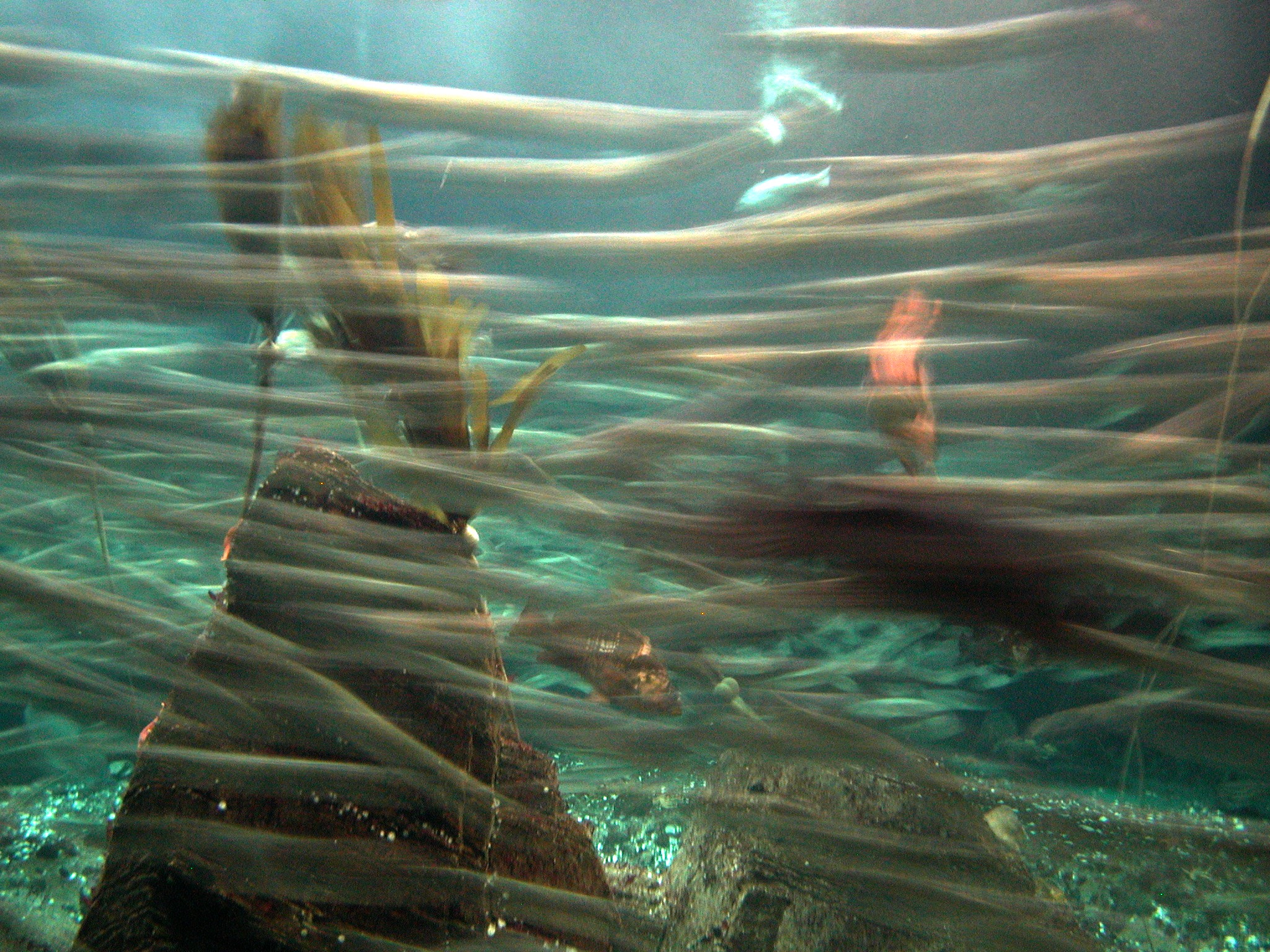 DSCN5592.JPG, 1020330 bytes, 12/27/02