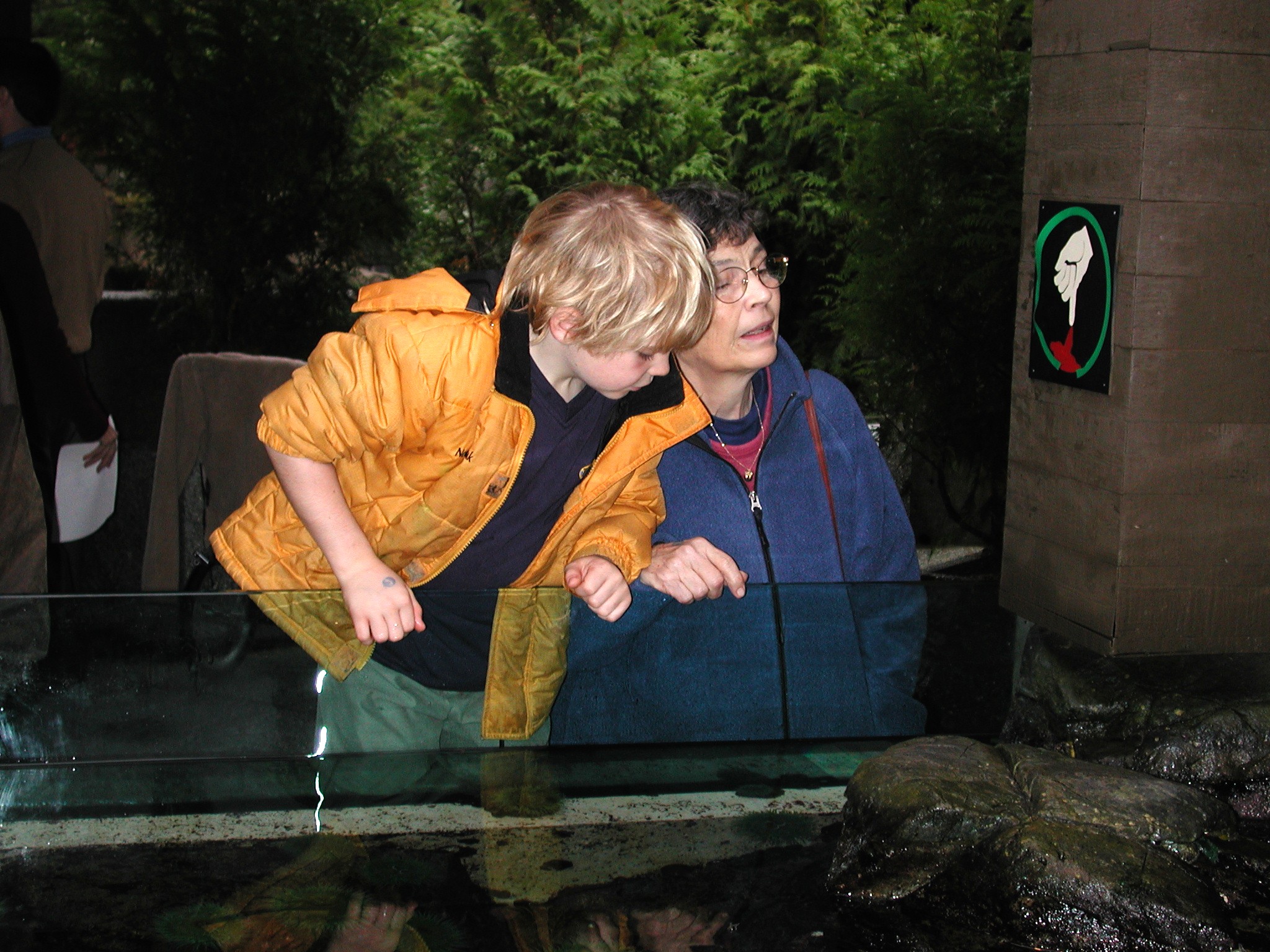 DSCN5606.JPG, 775884 bytes, 12/27/02