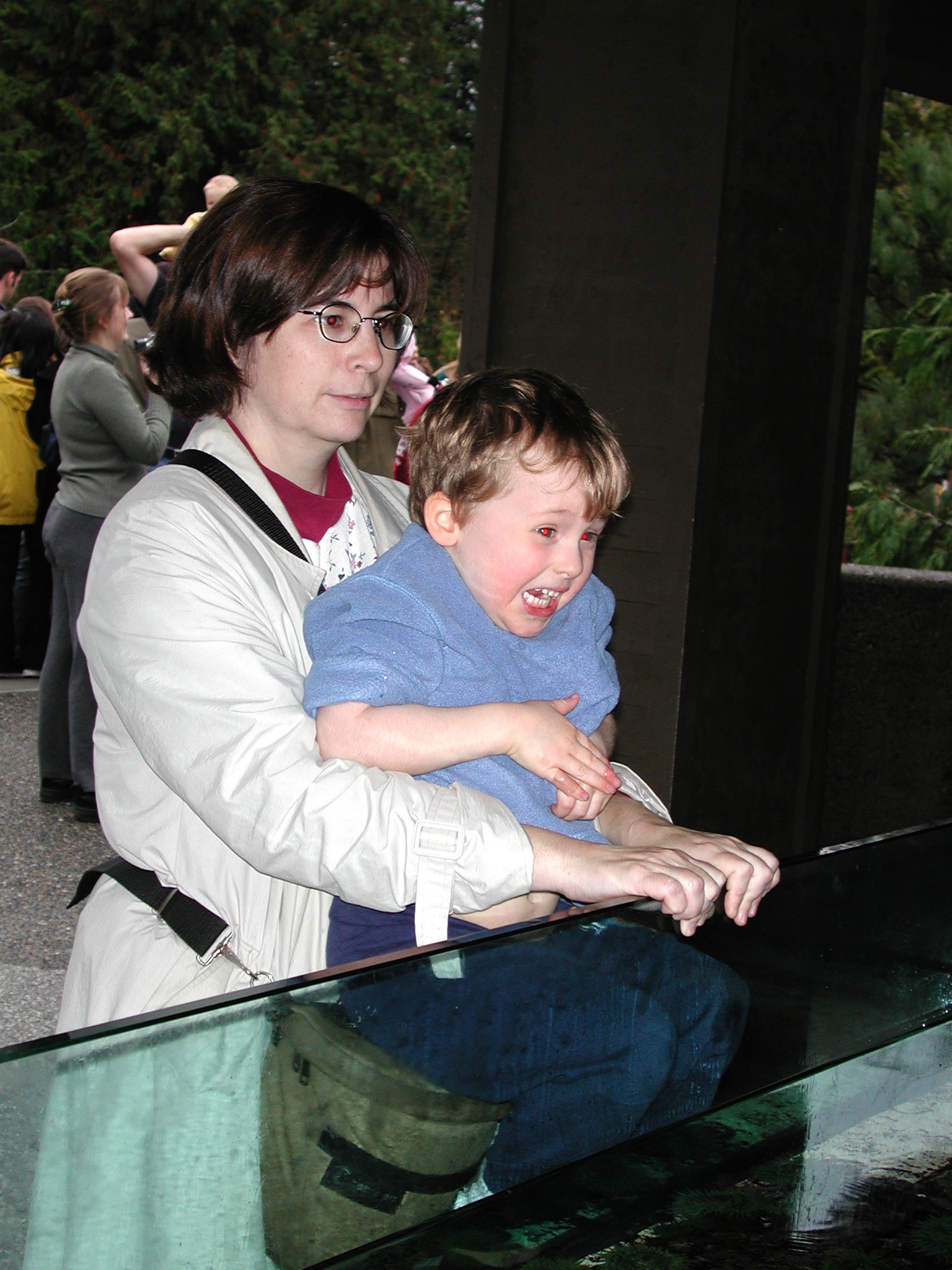 DSCN5608.JPG, 676892 bytes, 12/27/02