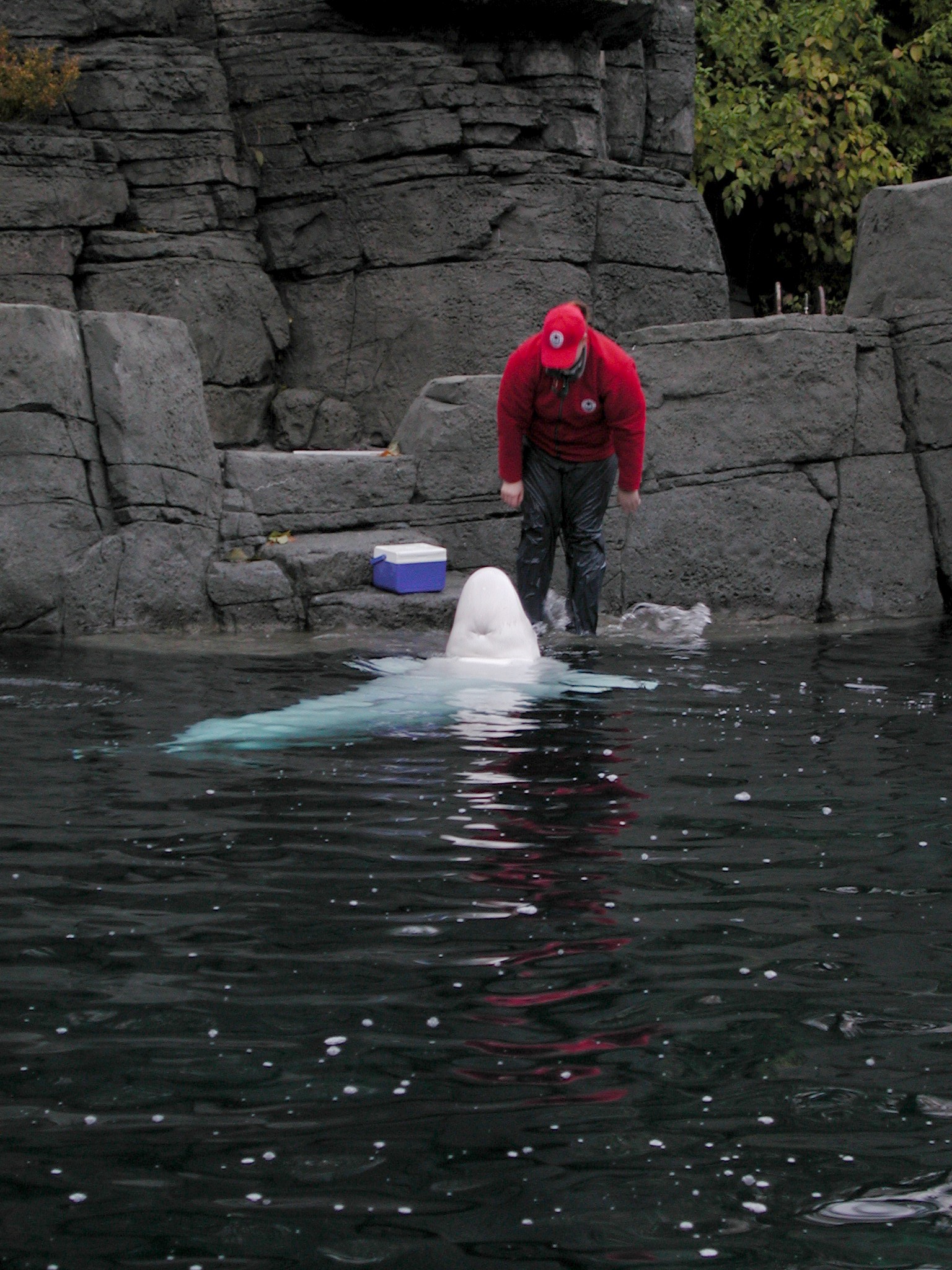 DSCN5620.JPG, 774174 bytes, 12/27/02