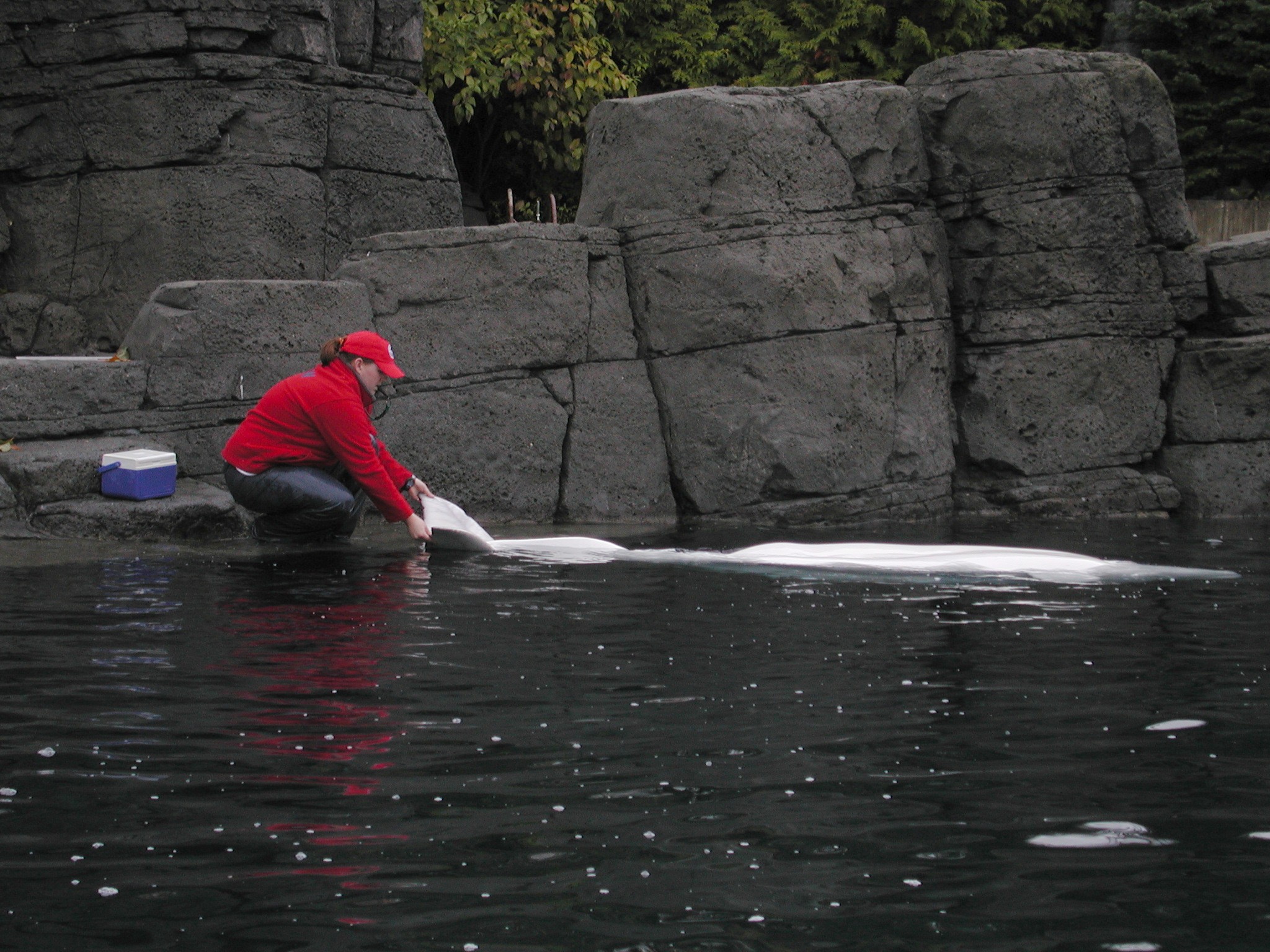 DSCN5621.JPG, 770453 bytes, 12/27/02