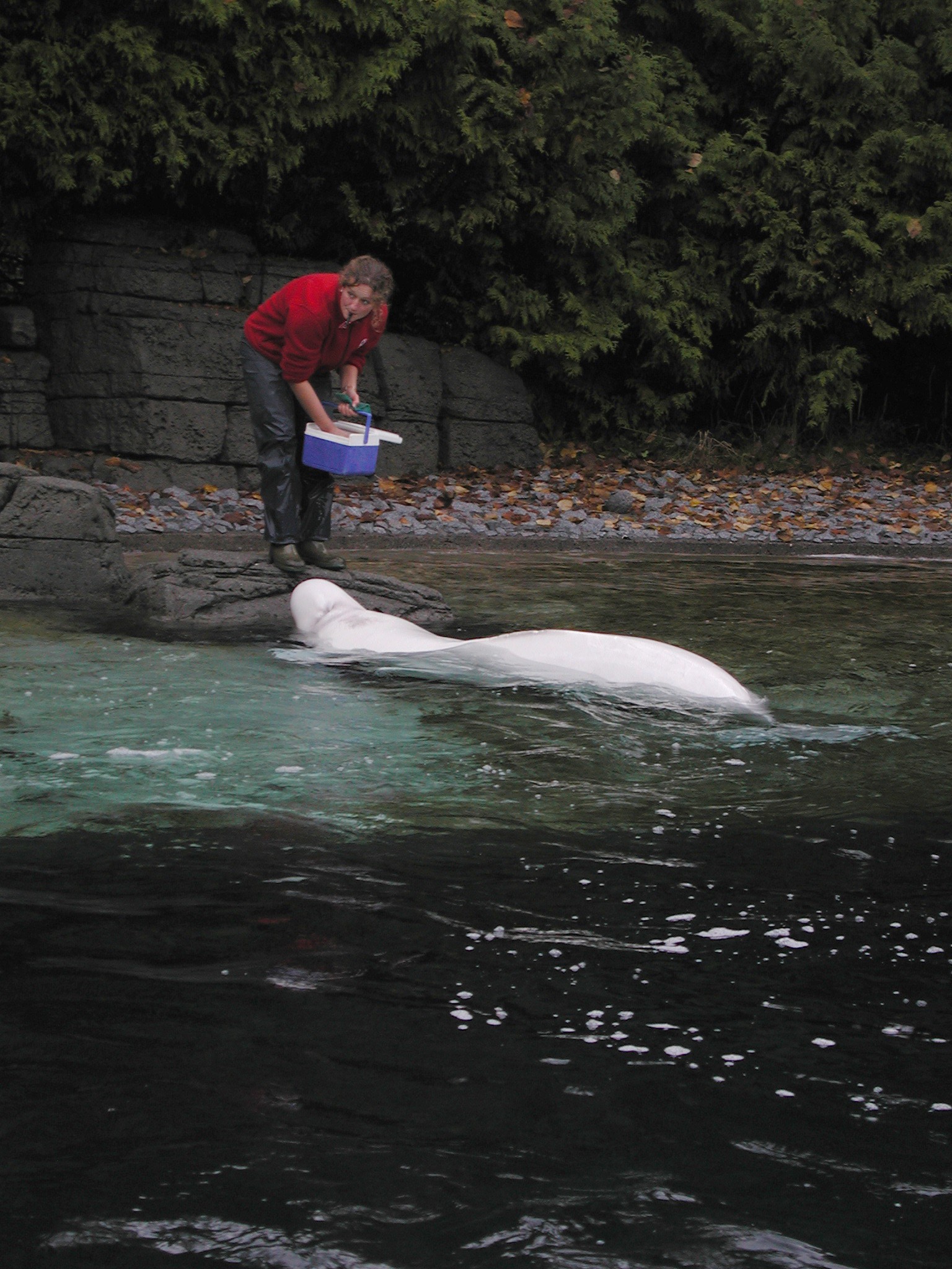 DSCN5624.JPG, 707429 bytes, 12/27/02