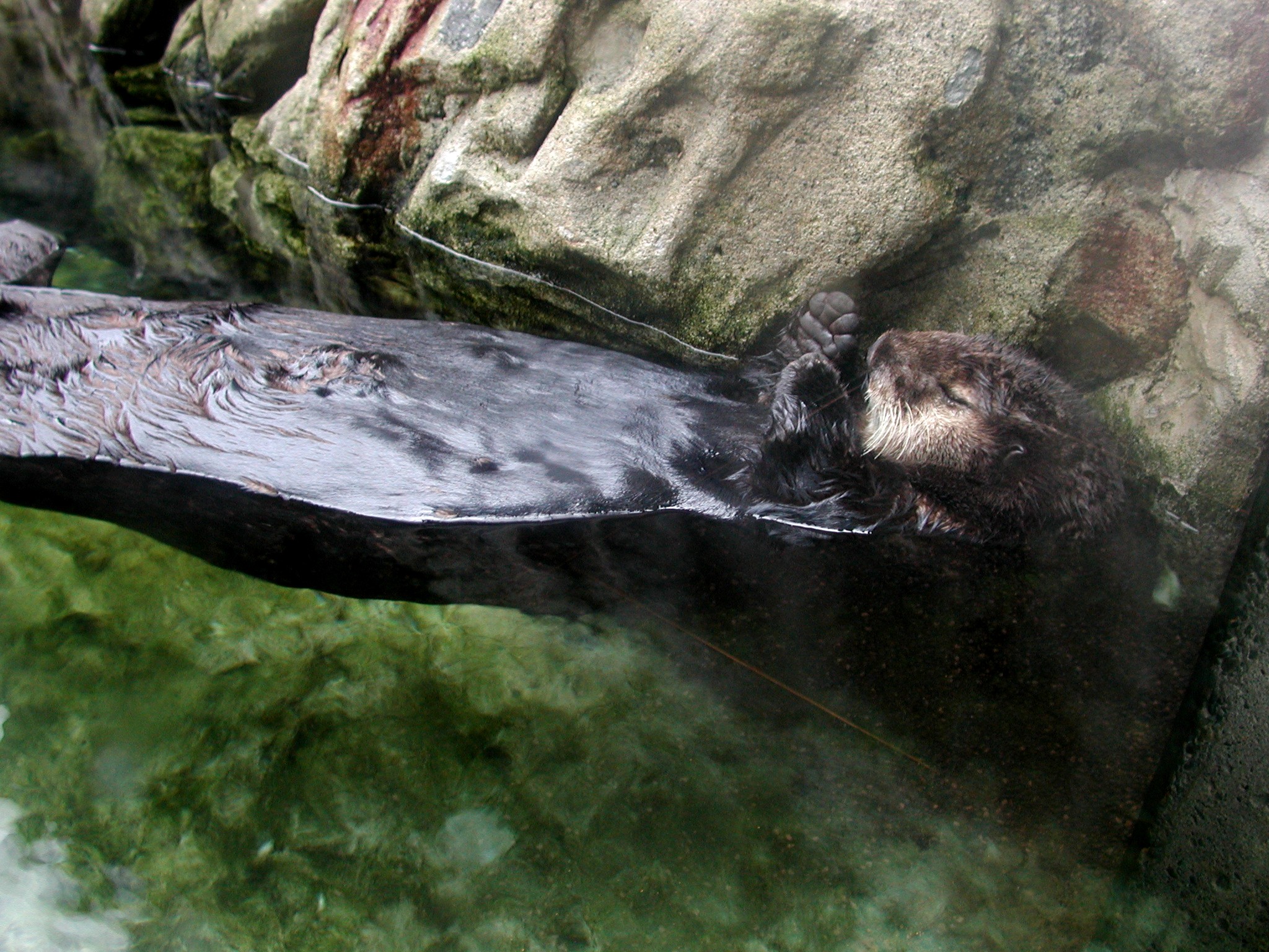 DSCN5625.JPG, 878528 bytes, 12/27/02