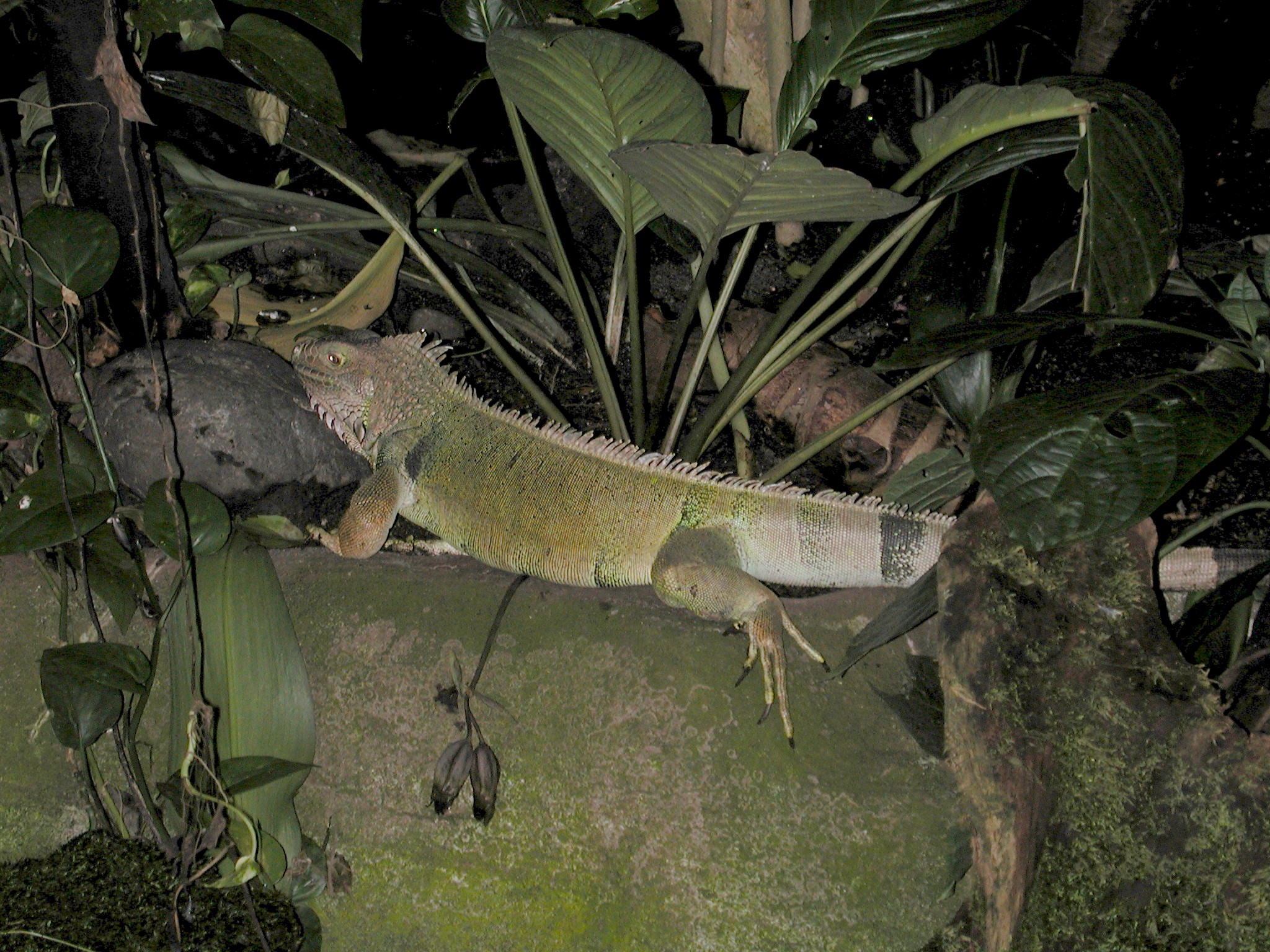 DSCN5633.JPG, 922005 bytes, 12/27/02