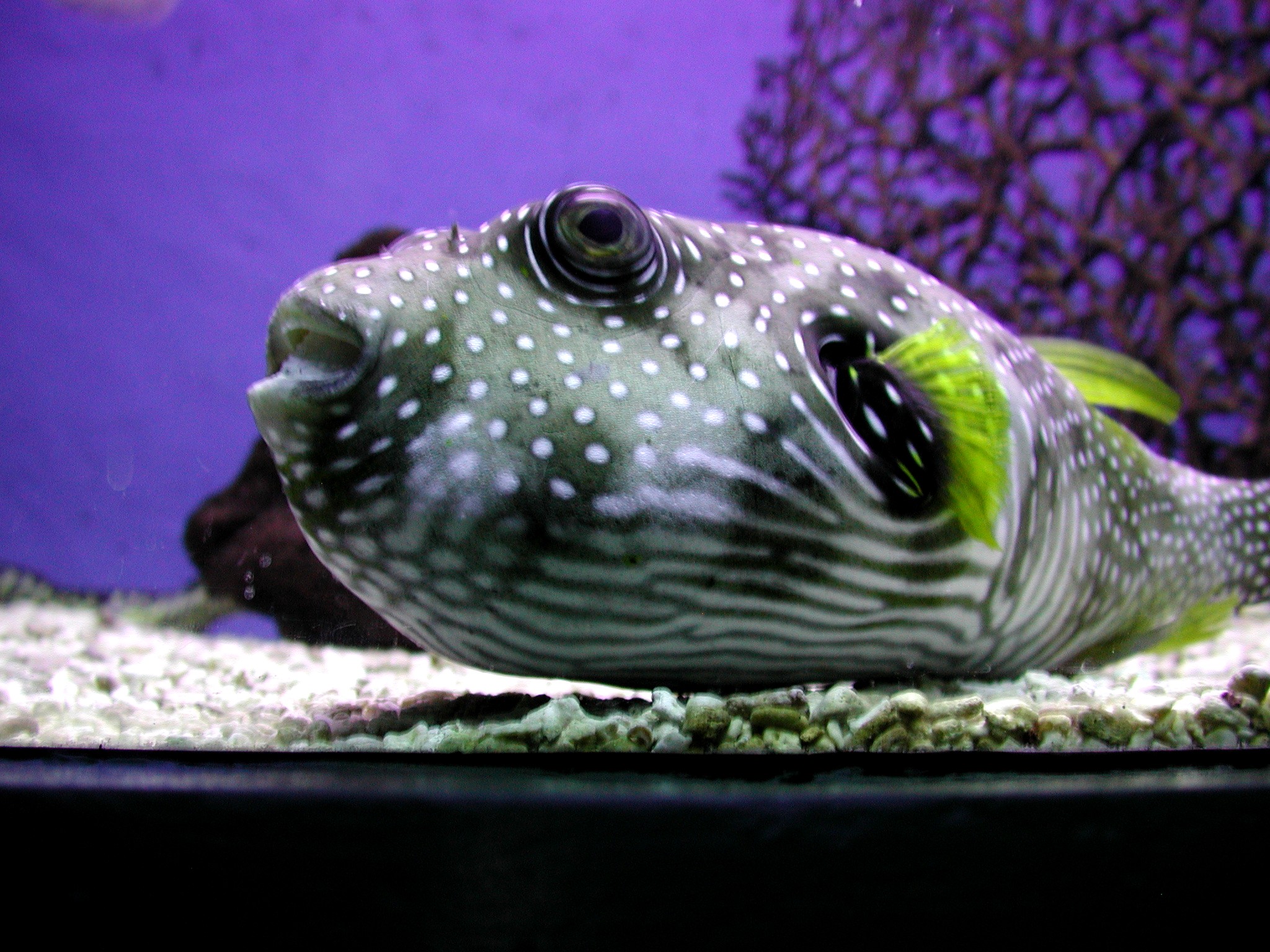 DSCN5646.JPG, 789100 bytes, 12/27/02