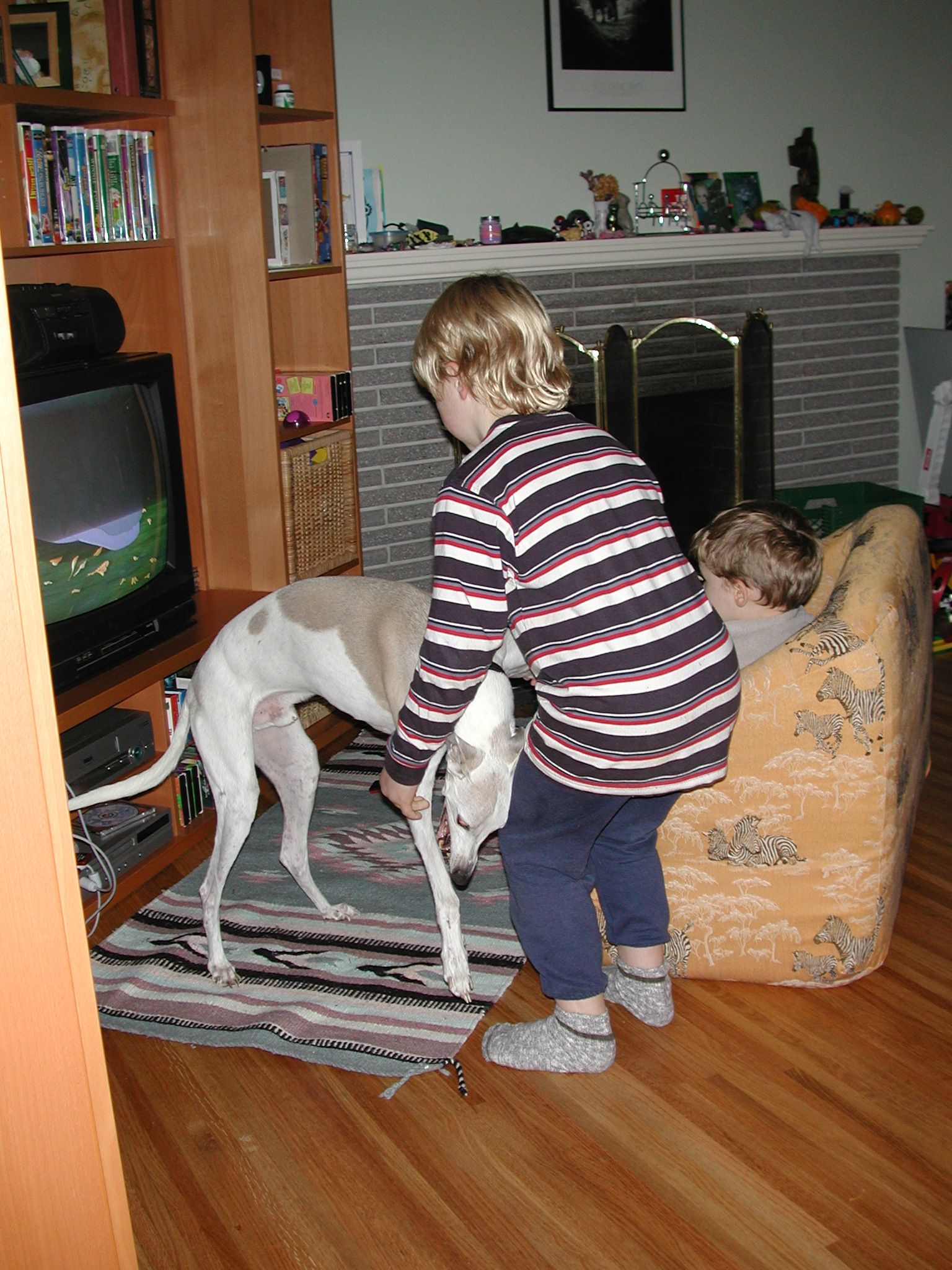 DSCN5694.JPG, 1031054 bytes, 11/15/02