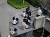 DSCN3308.JPG