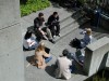 DSCN3333.JPG