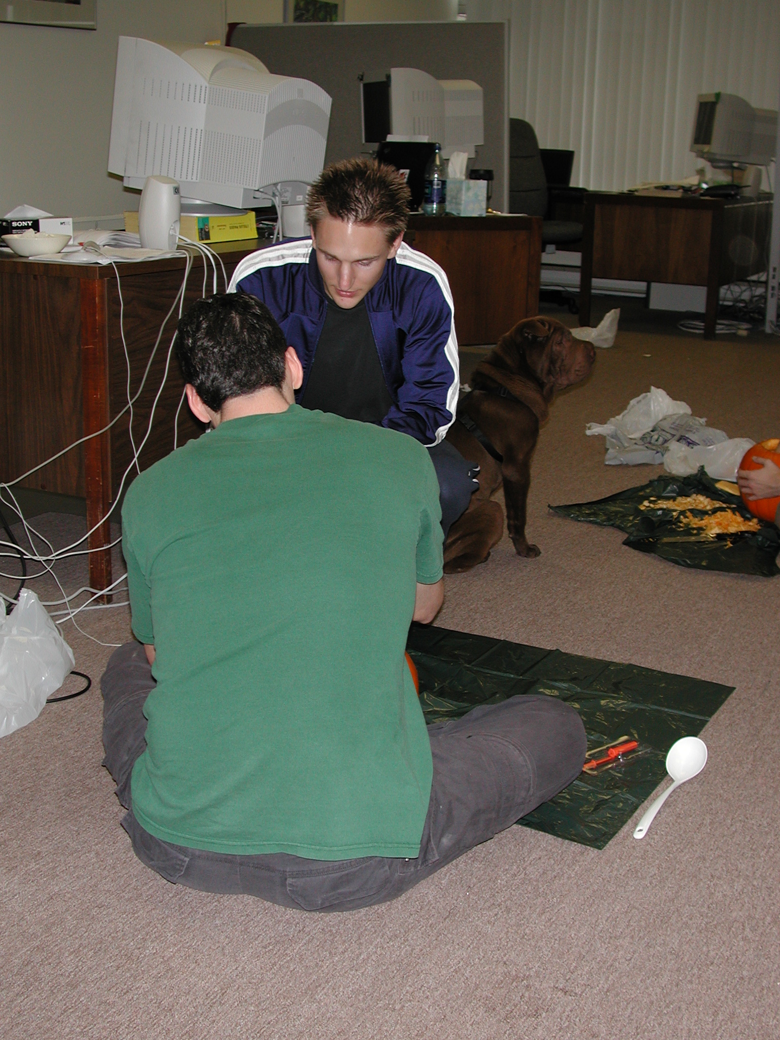 DSCN5420.JPG, 1084218 bytes, 10/25/02