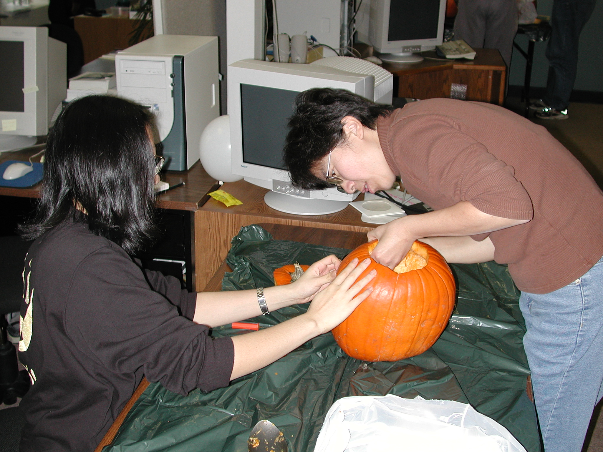 DSCN5435.JPG, 1022051 bytes, 10/25/02