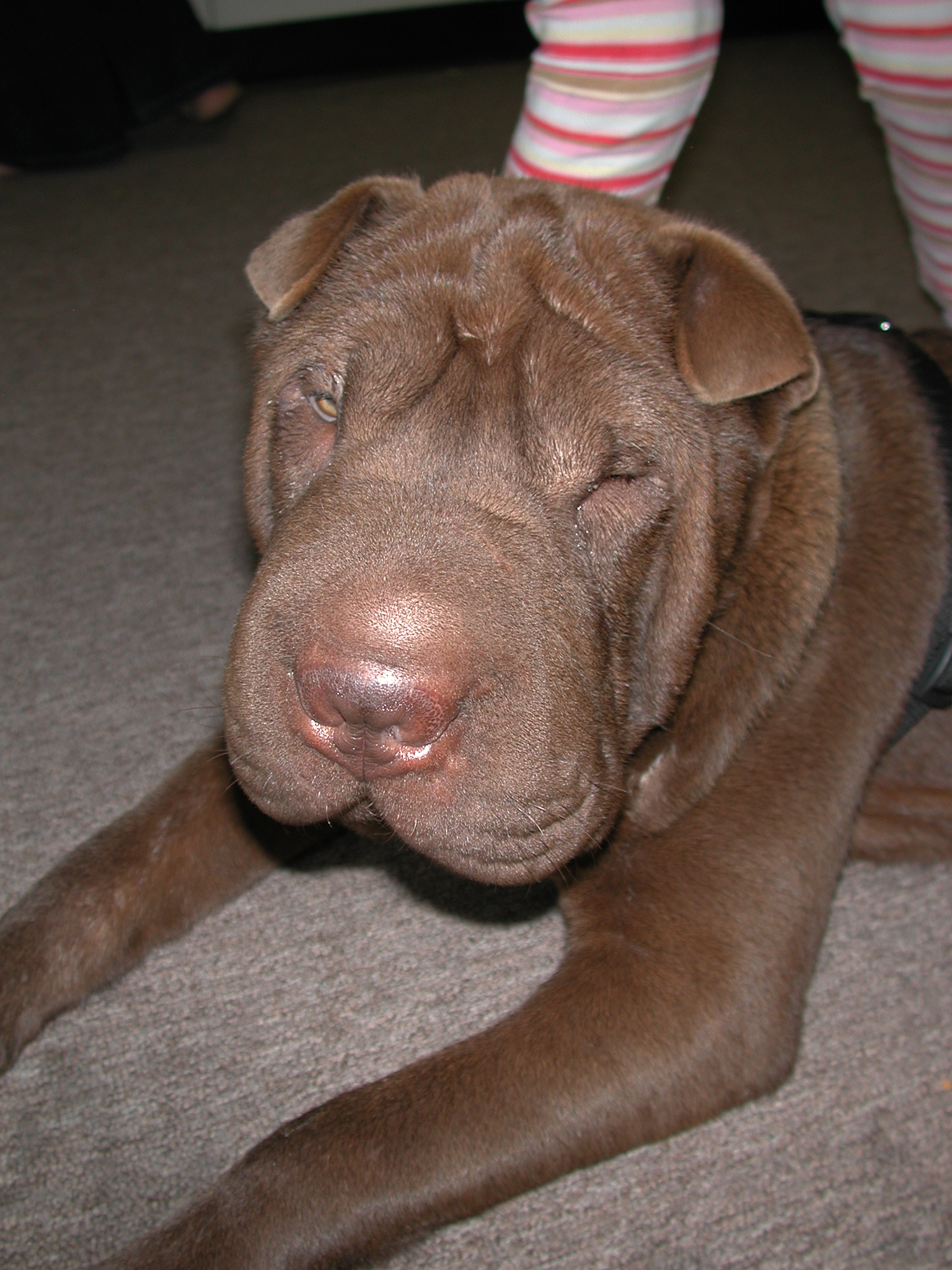 DSCN5444.JPG, 964691 bytes, 10/25/02