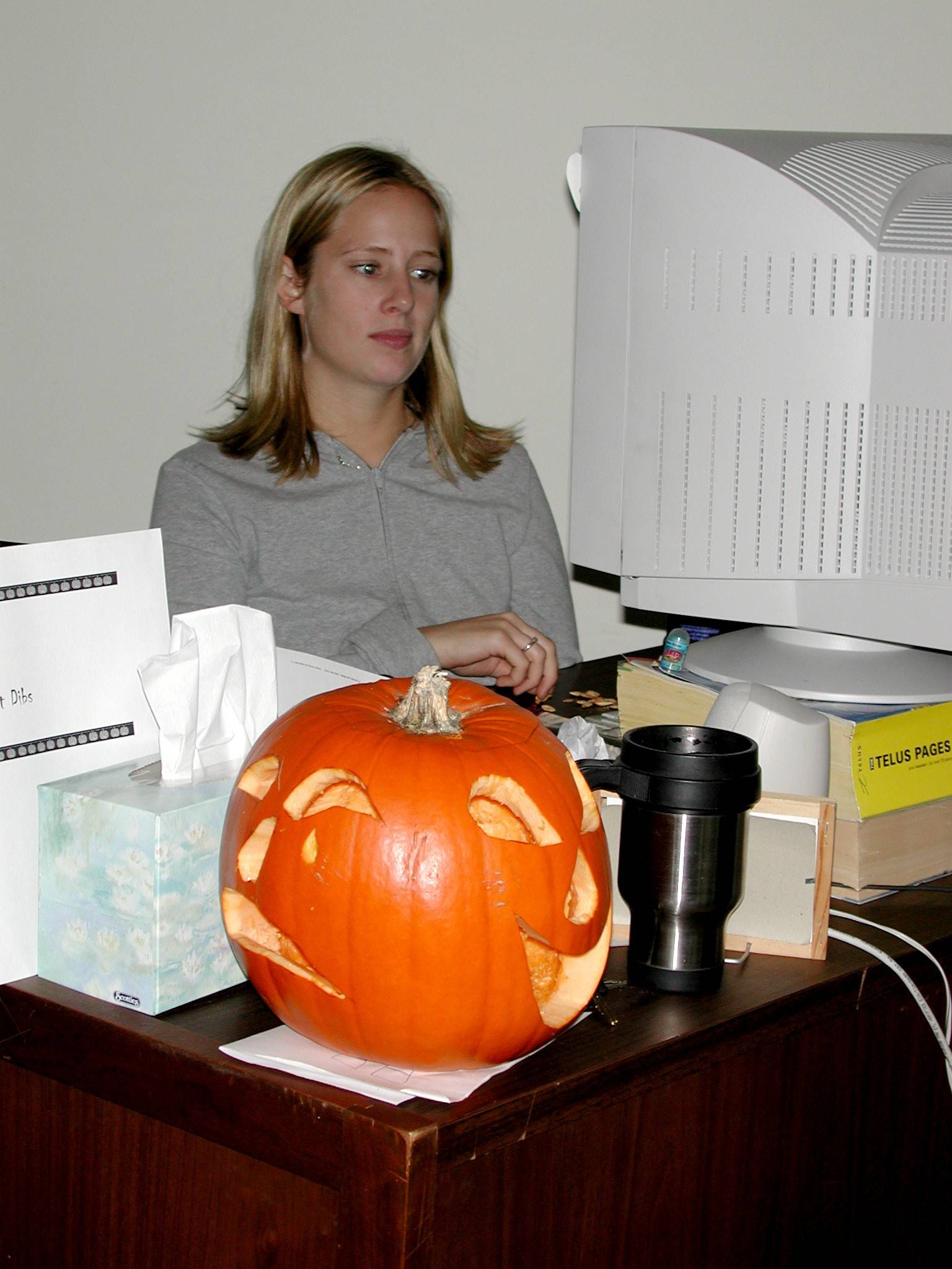 DSCN5470.JPG, 246076 bytes, 10/26/02