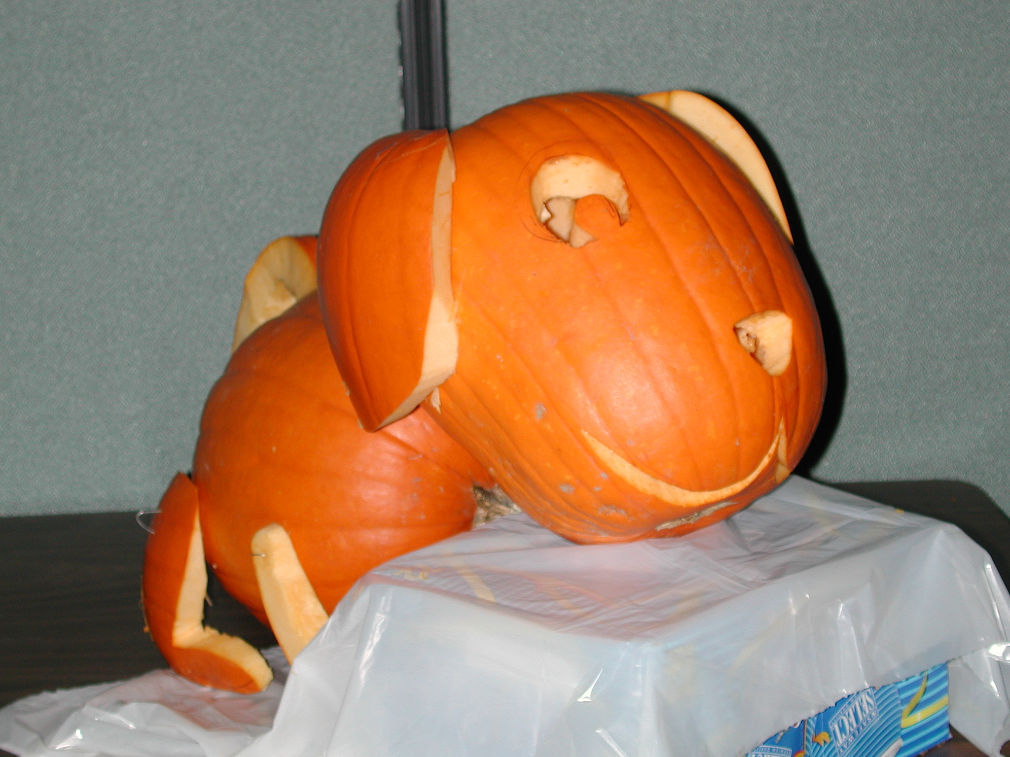 DSCN5471.JPG, 1186760 bytes, 10/25/02