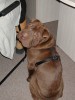 DSCN5437.JPG