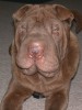 DSCN5455.JPG