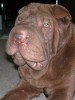 DSCN5456.JPG