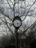 DSCN6205.JPG