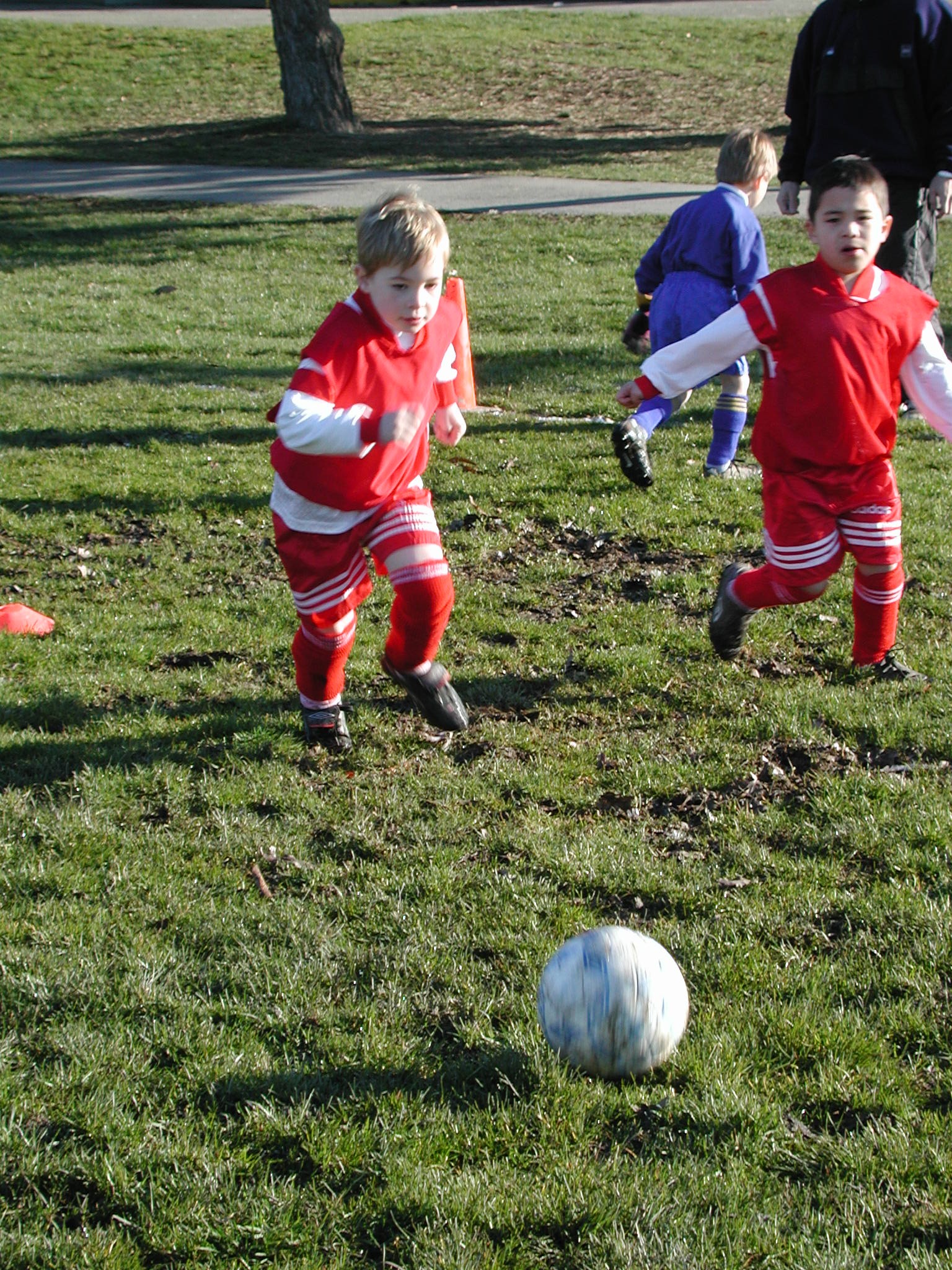 DSCN2987.JPG, 998207 bytes, 3/02/02